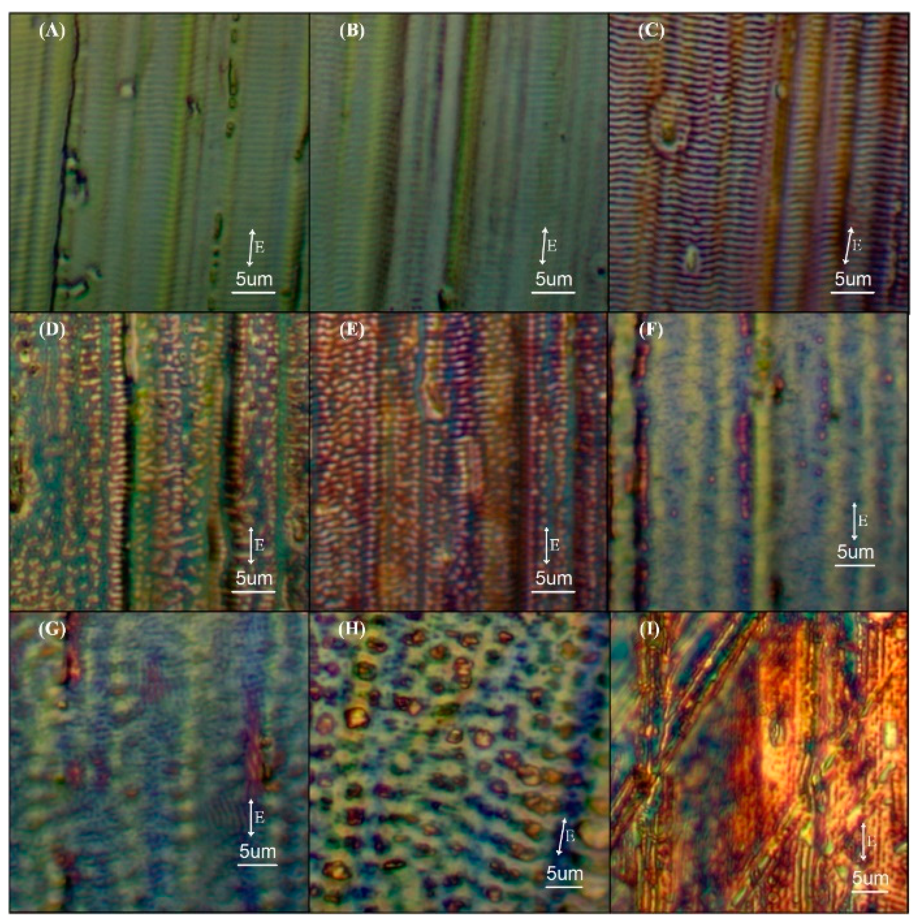 Metals 10 01237 g005