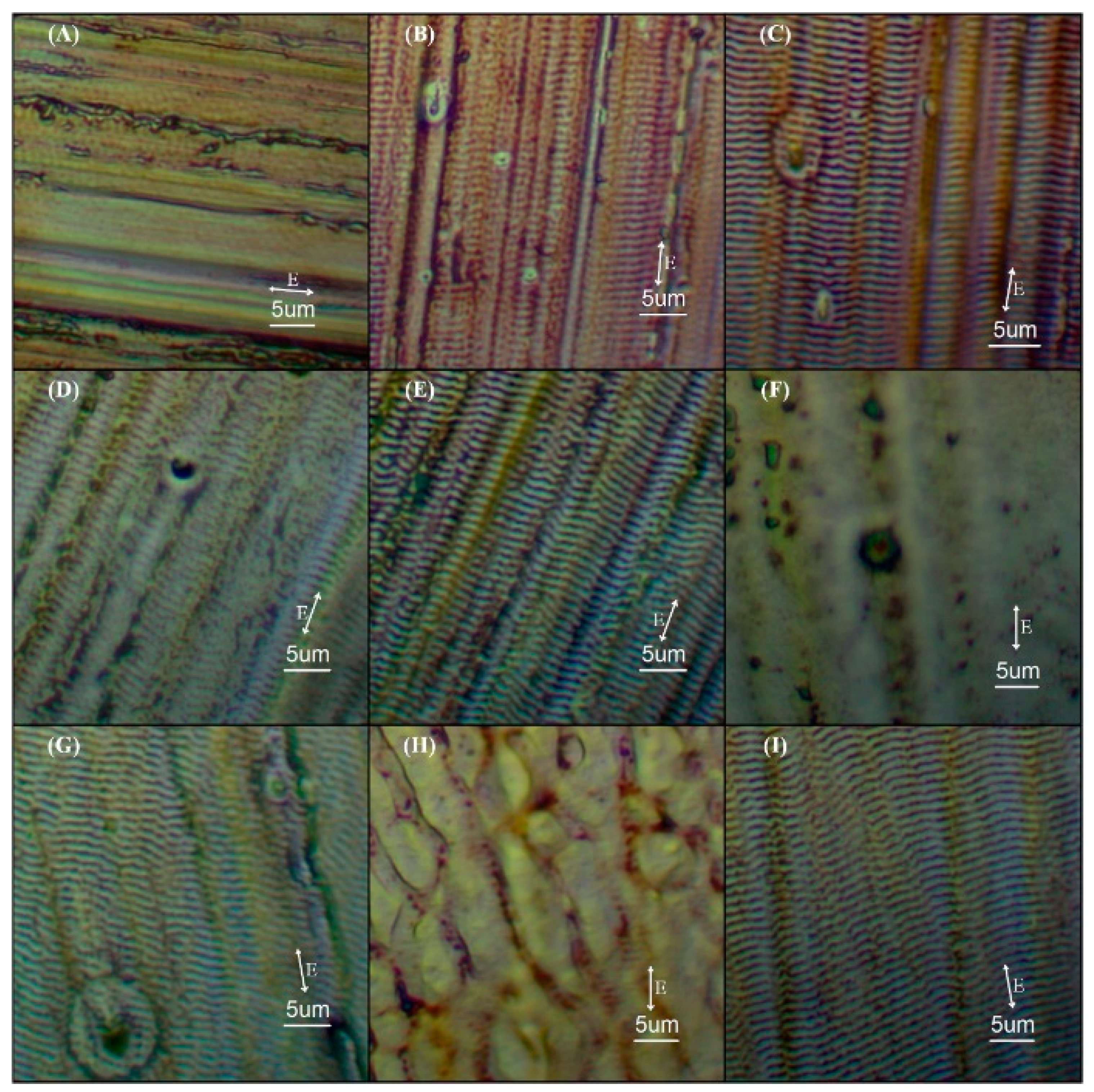 Metals 10 01237 g006