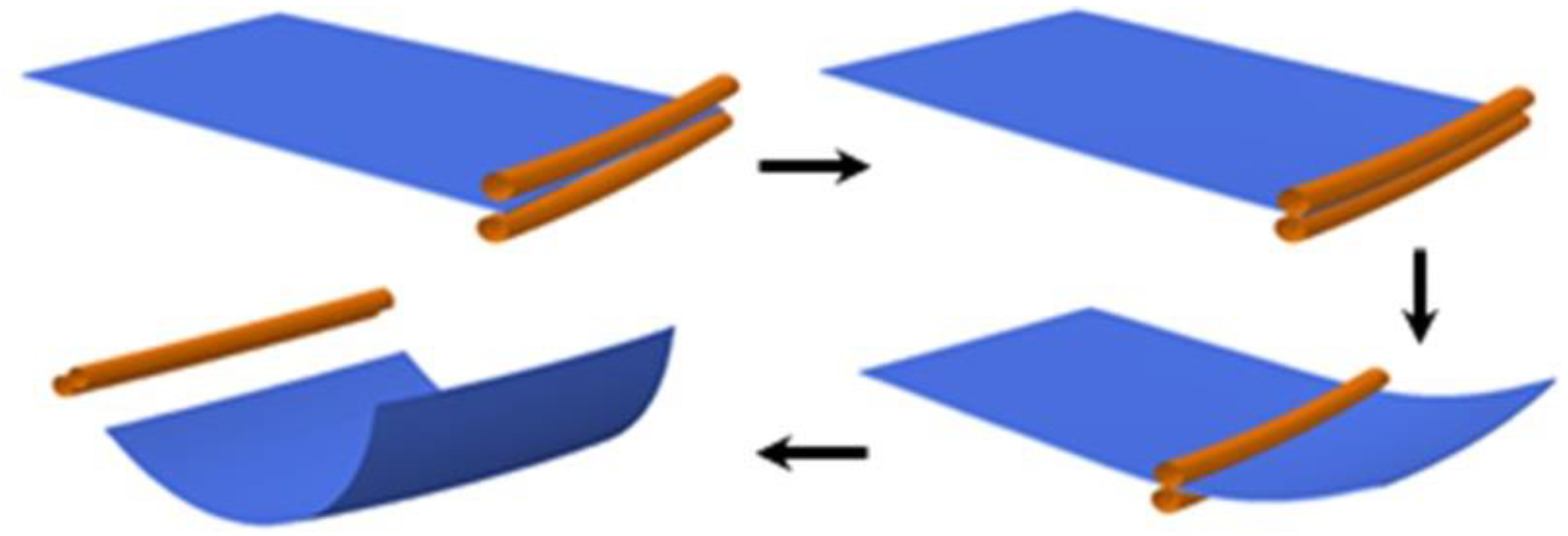 Metals 10 01249 g002