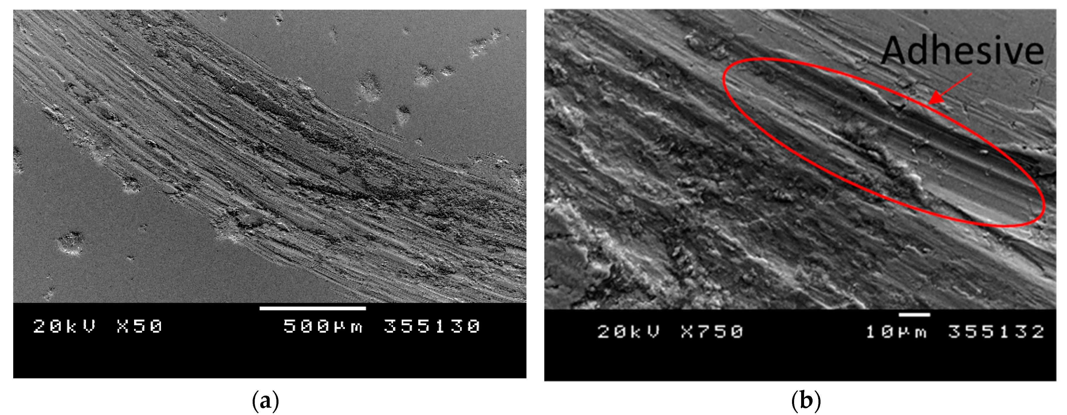 Metals 10 01263 g006