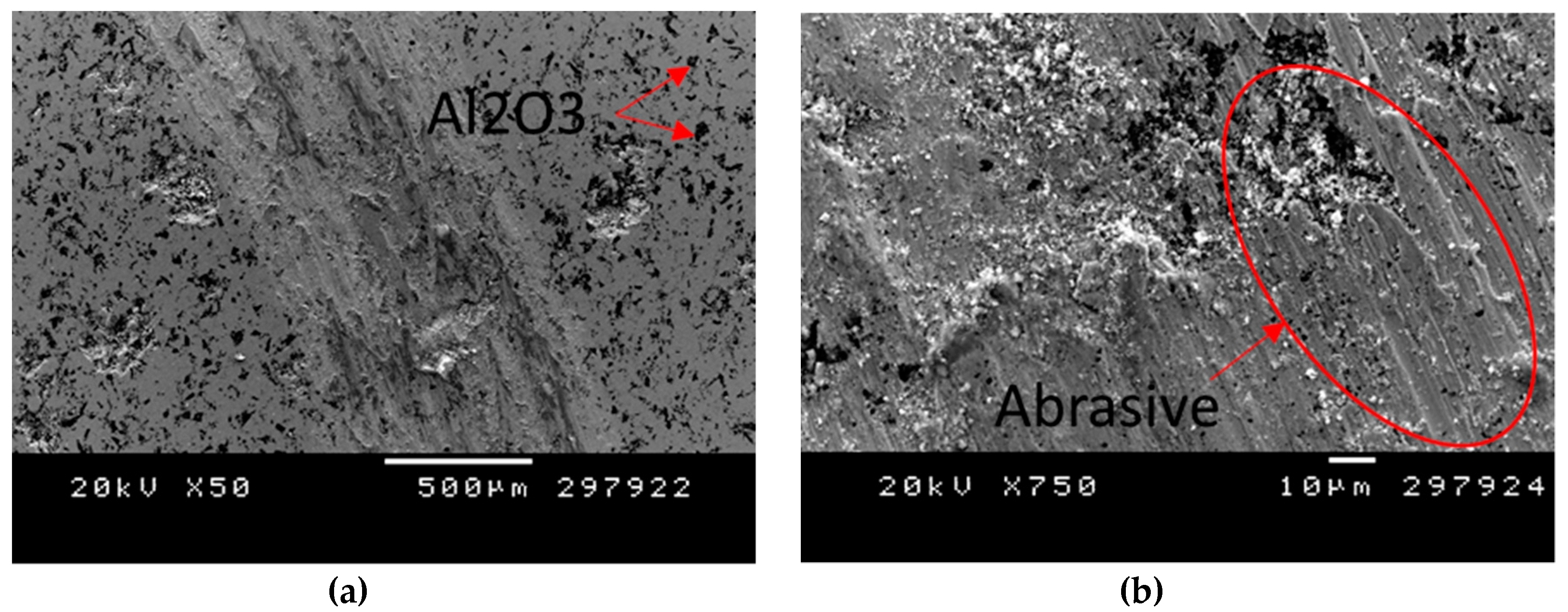 Metals 10 01263 g007