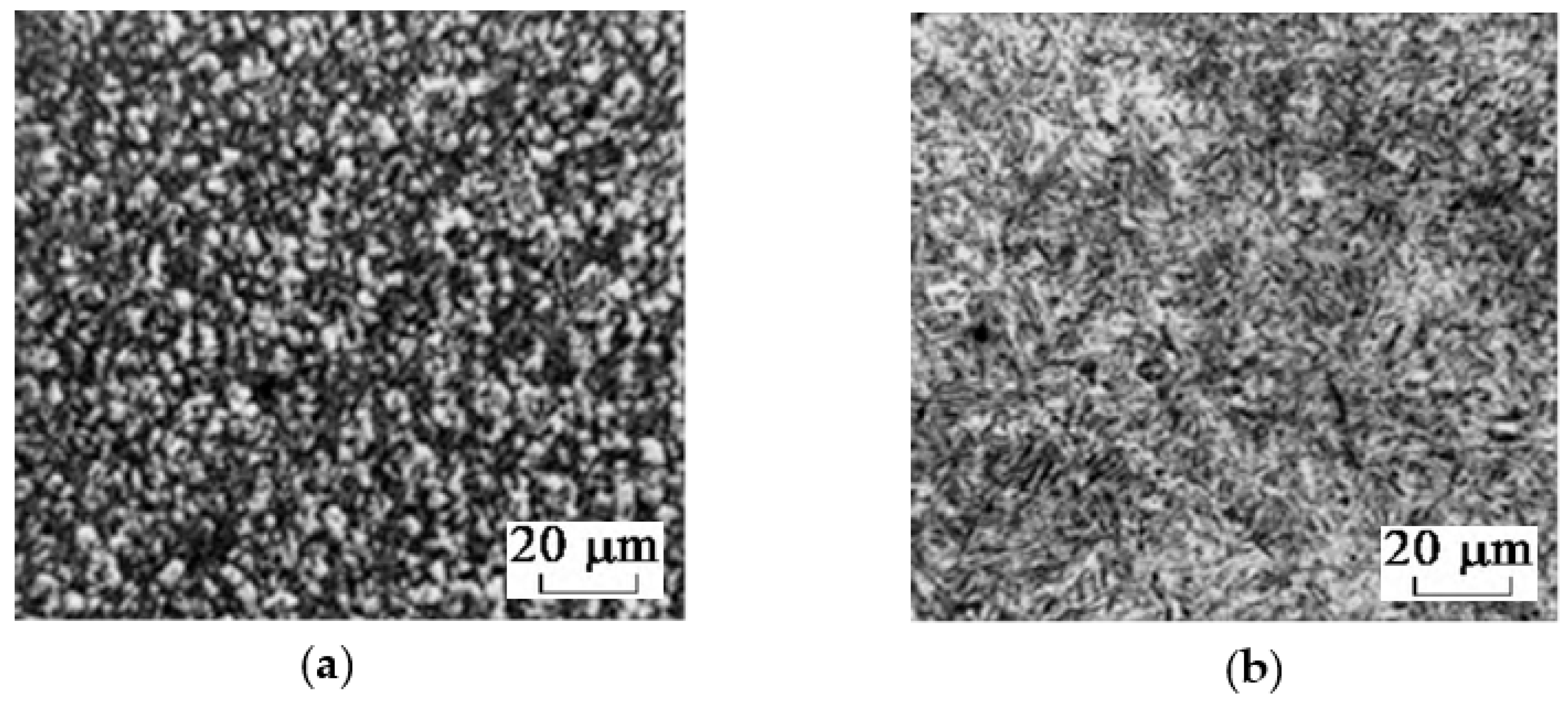 Metals 10 01264 g017