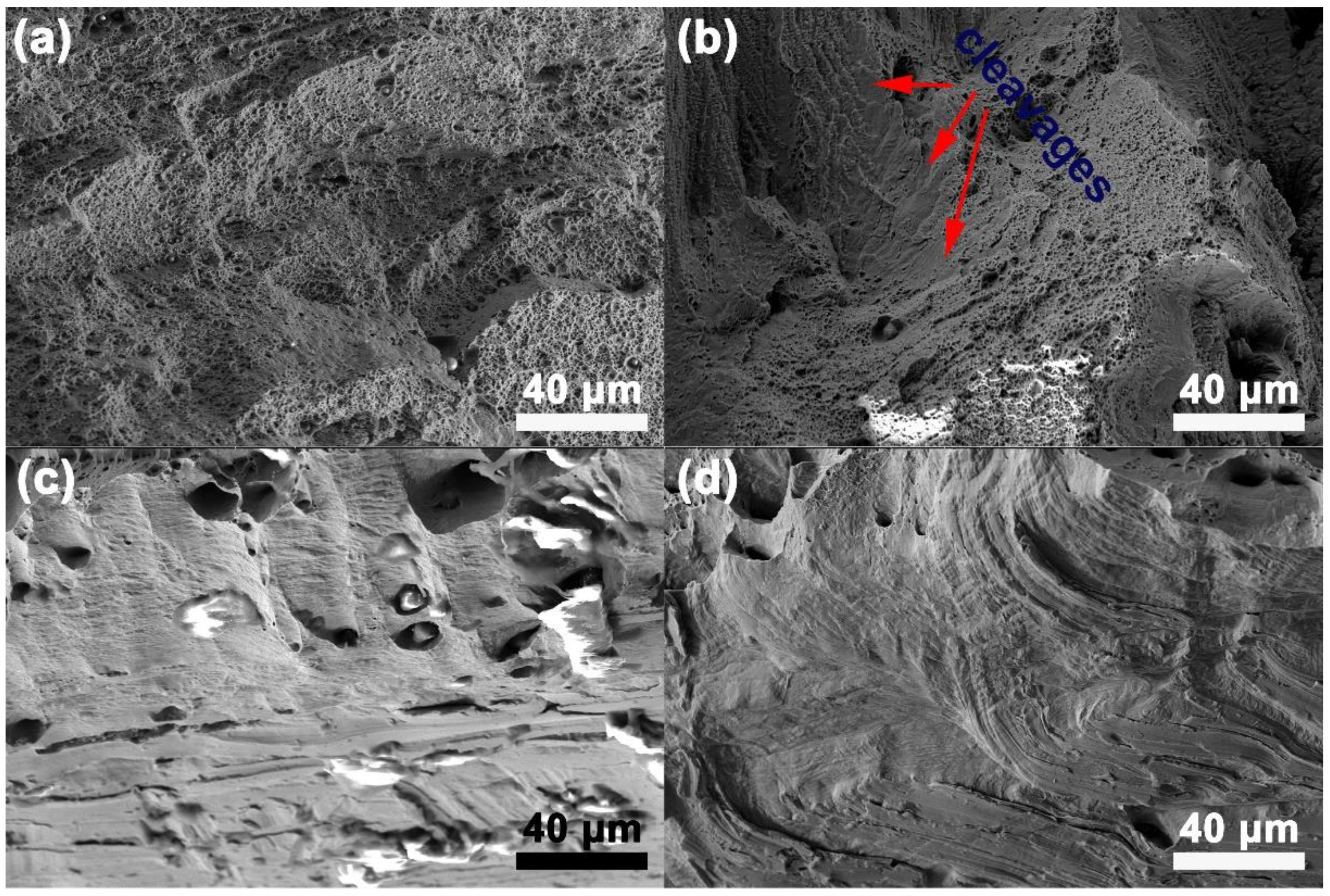Metals 10 01402 g007
