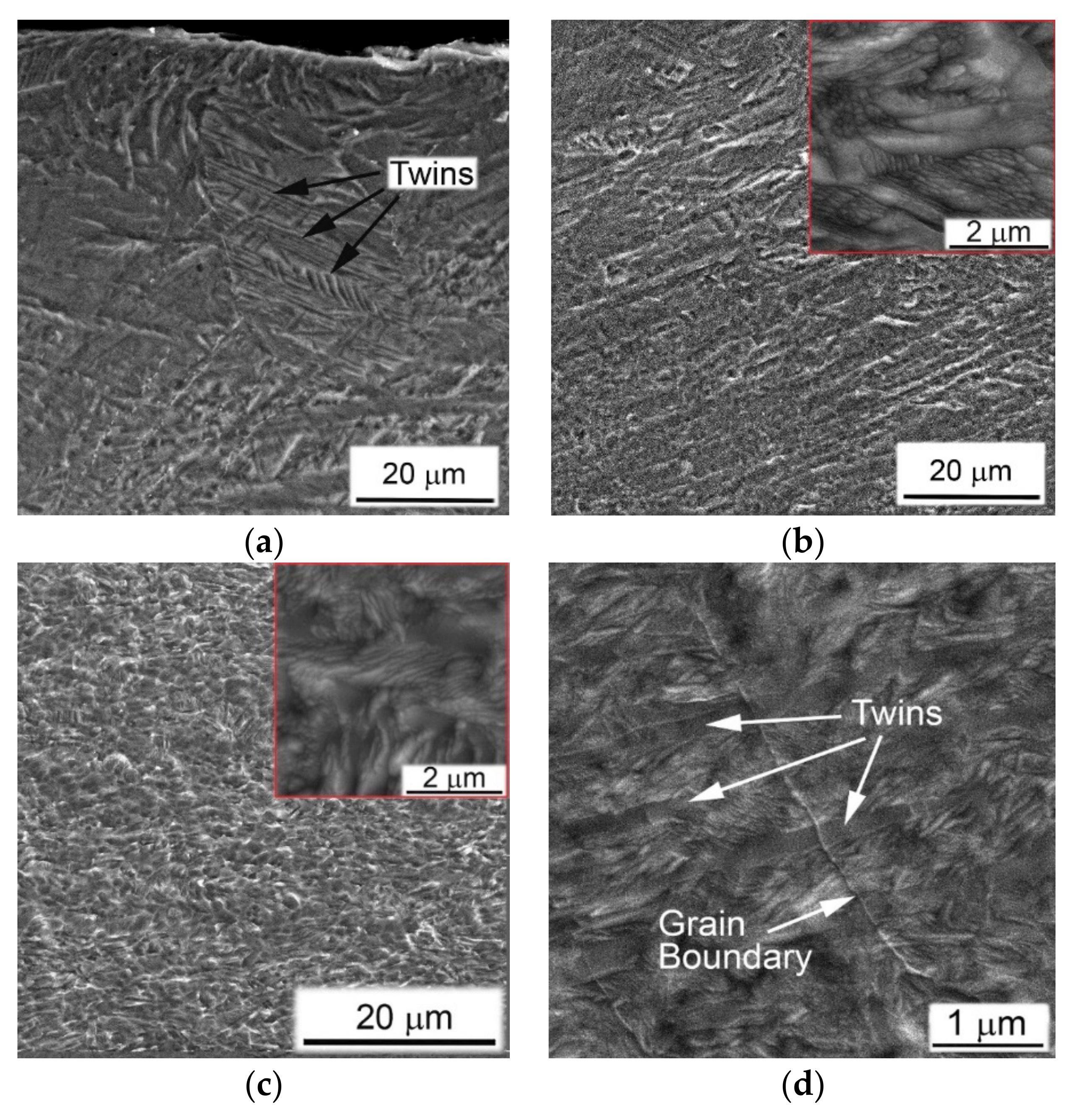 Metals 10 01404 g009