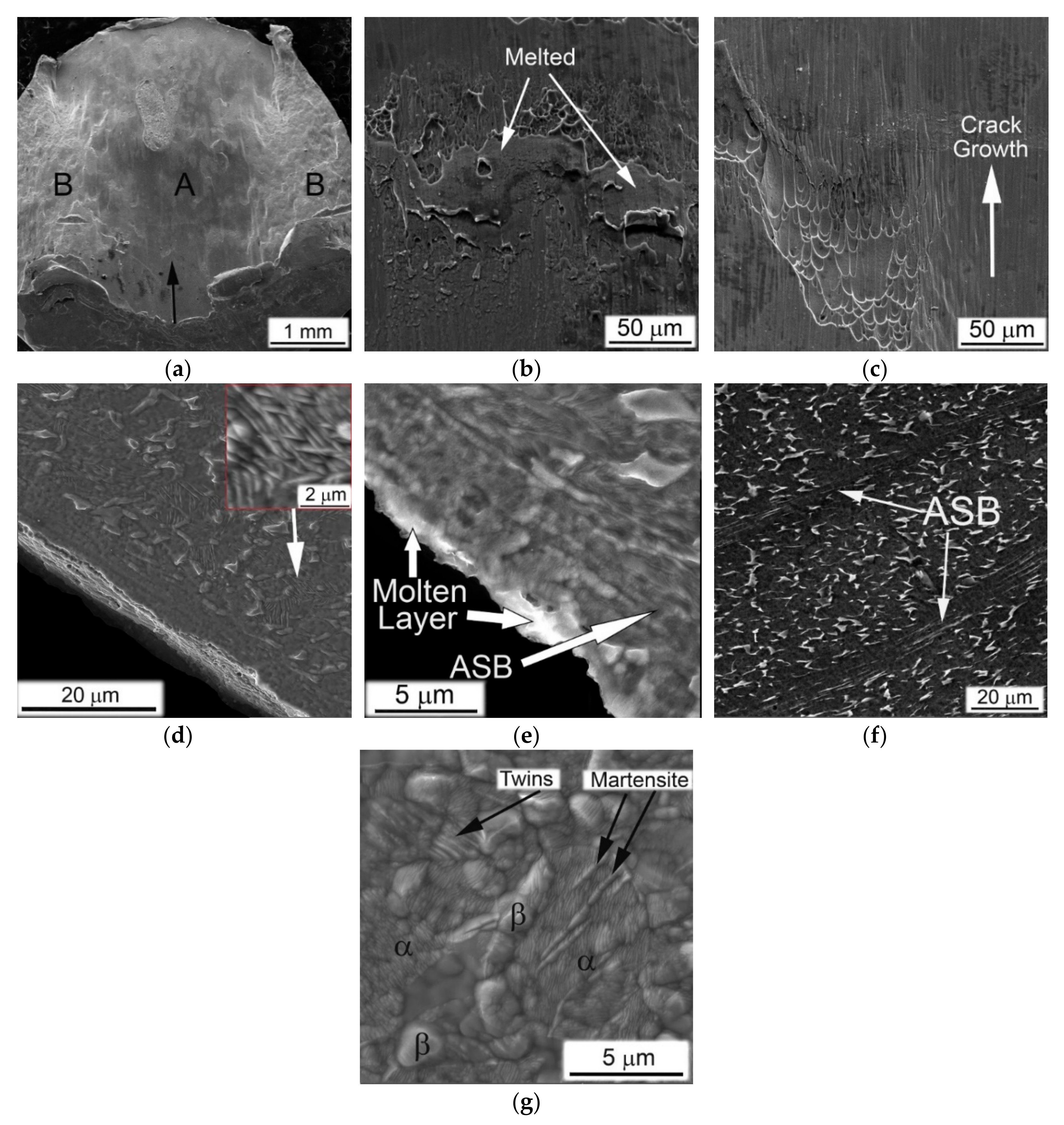 Metals 10 01404 g011