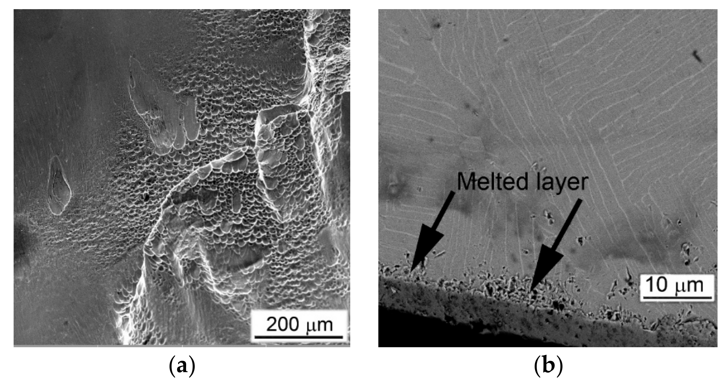 Metals 10 01404 g014