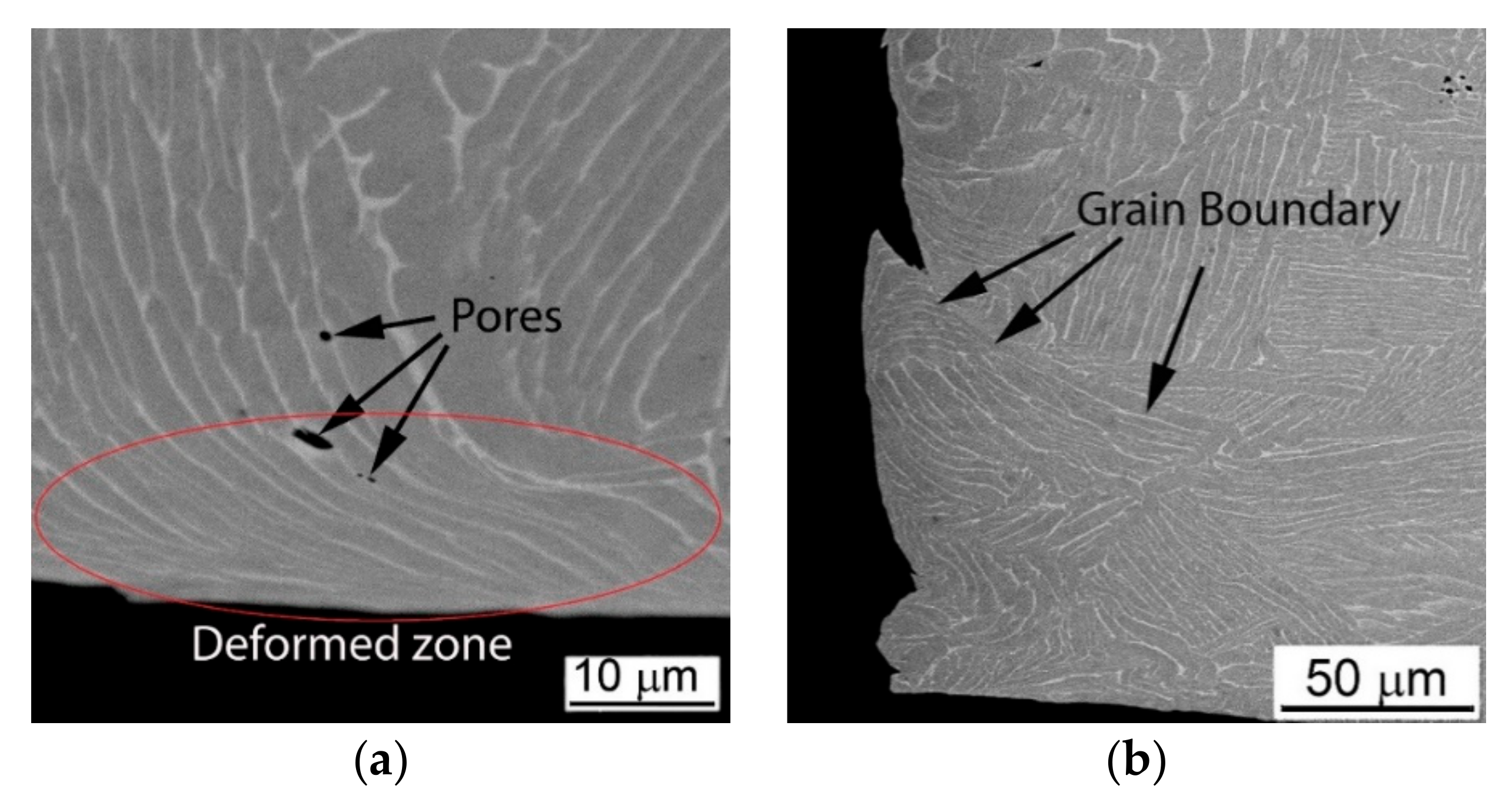Metals 10 01404 g017
