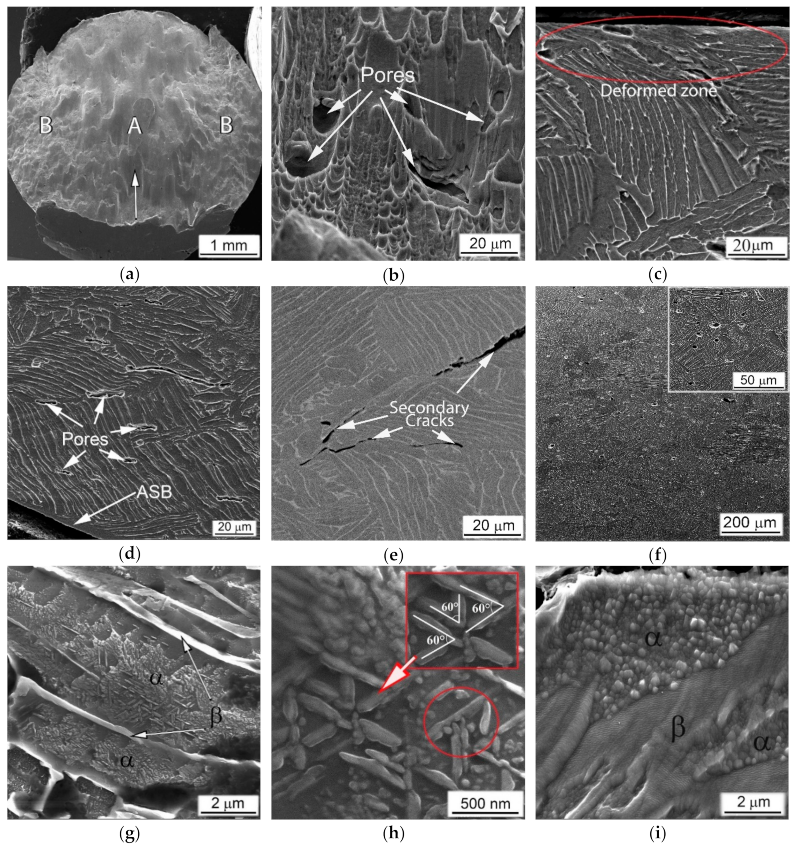 Metals 10 01404 g018