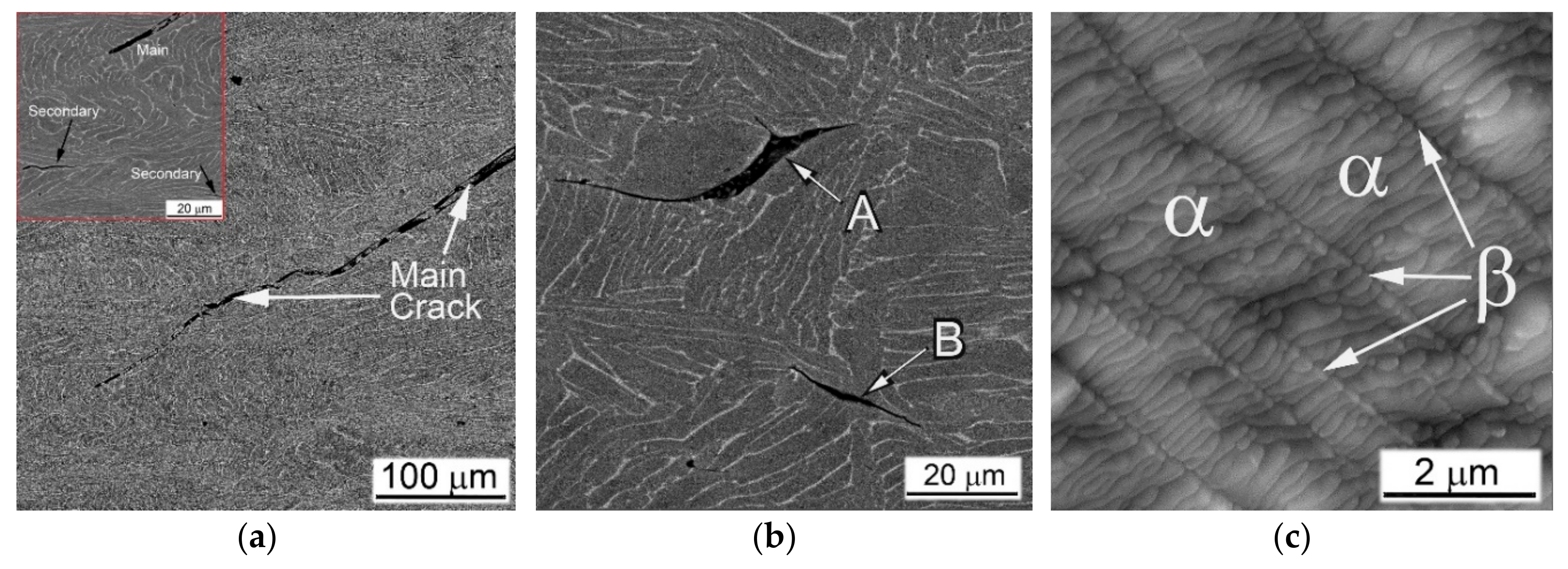 Metals 10 01404 g019