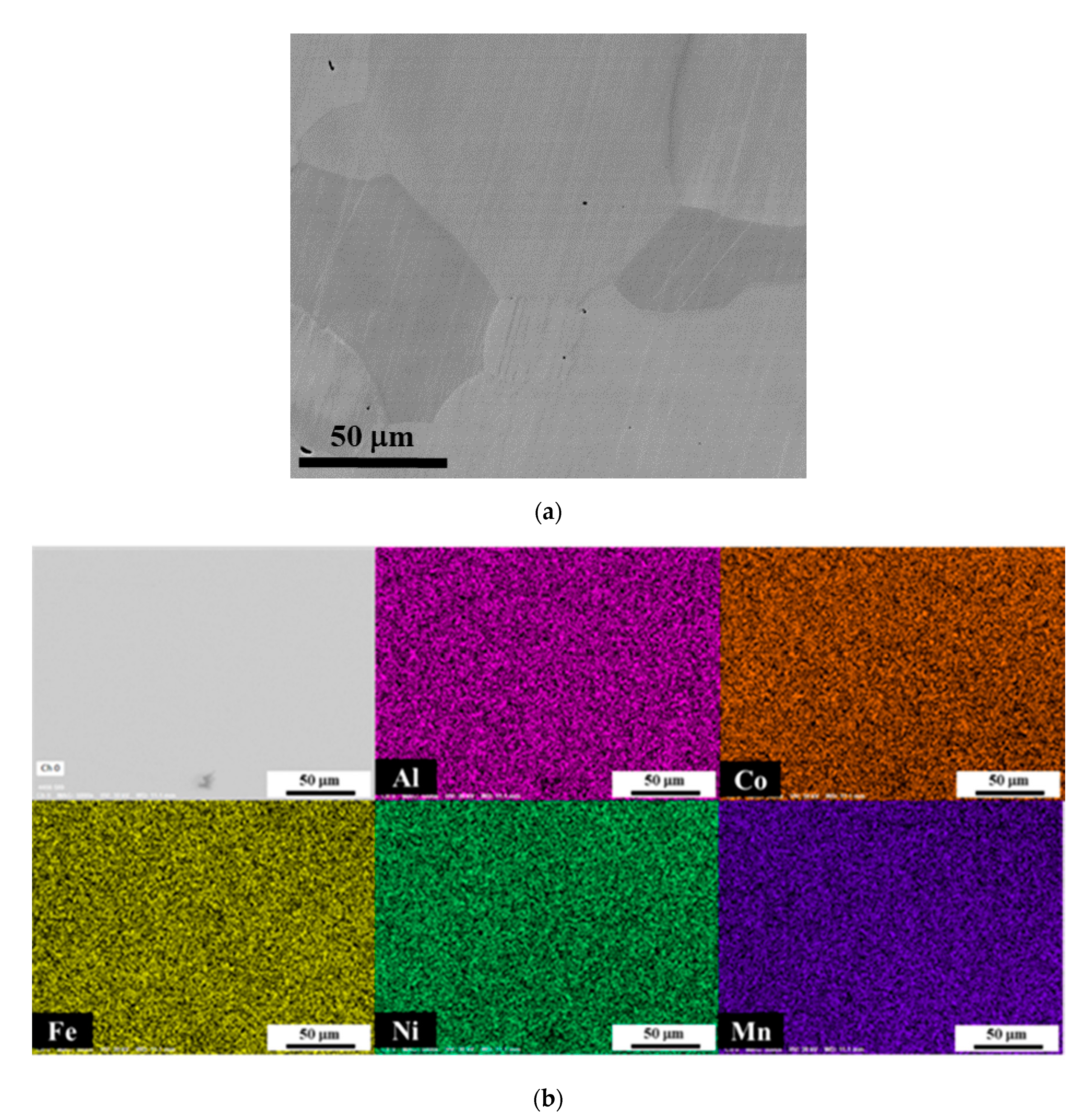 Metals 10 01411 g016