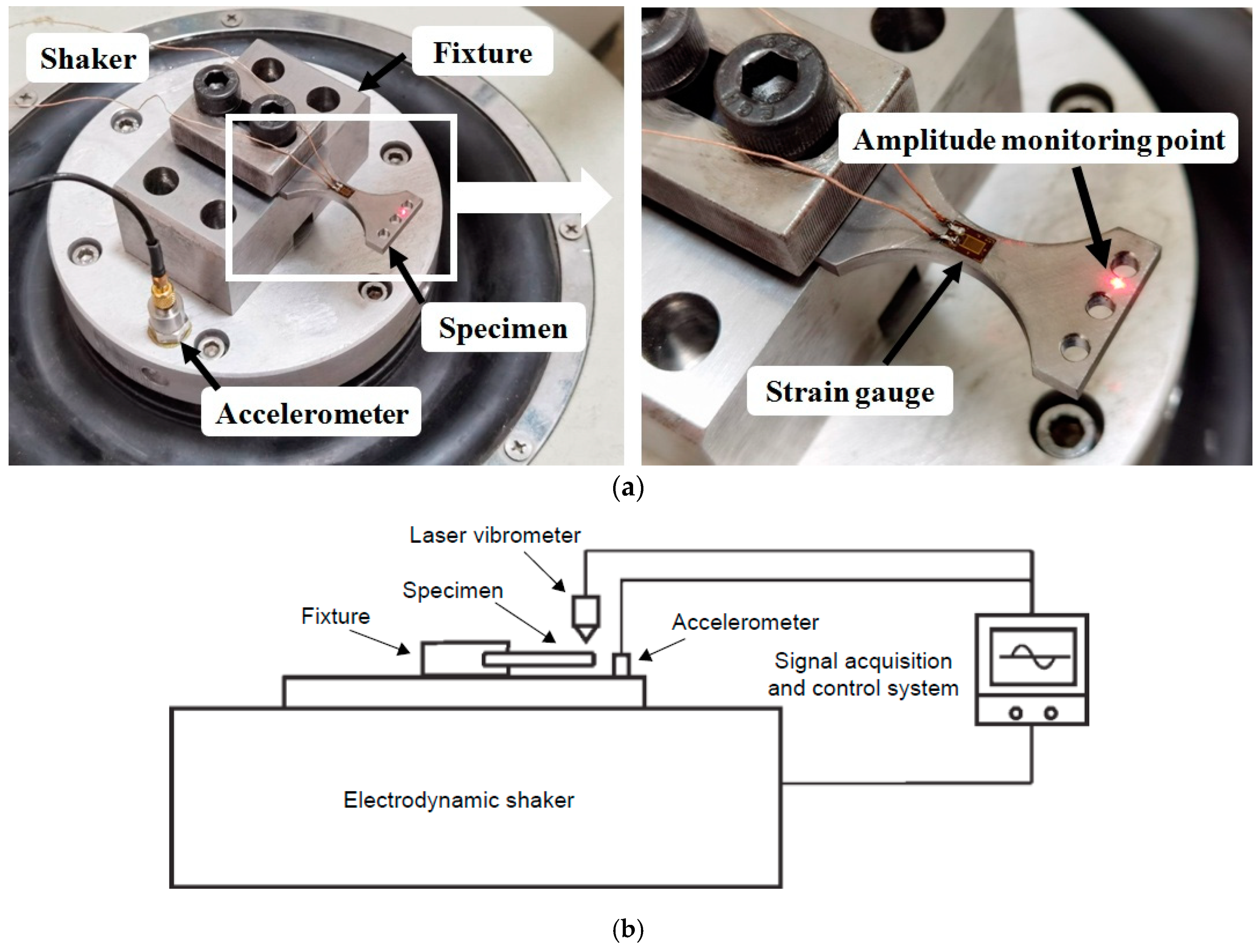 Metals 10 01415 g004