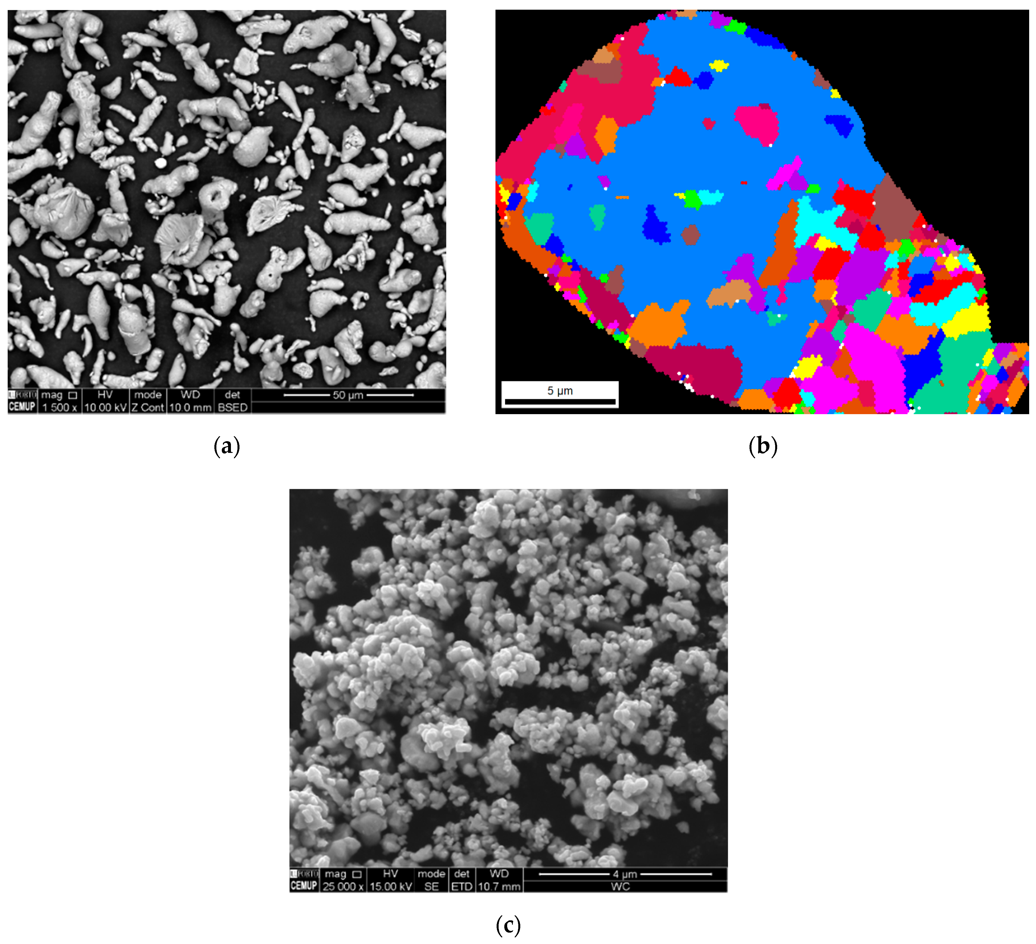 Metals 10 01416 g001