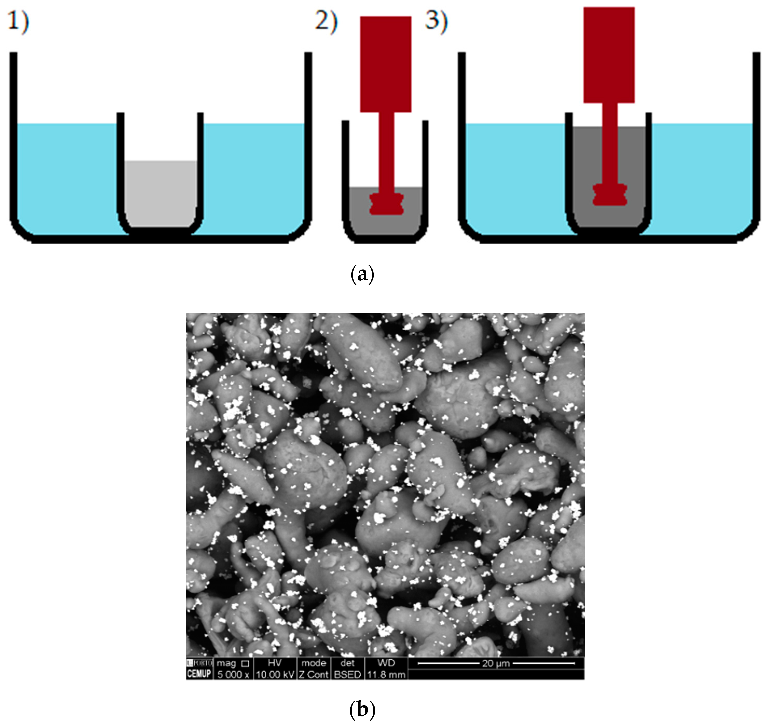 Metals 10 01416 g002