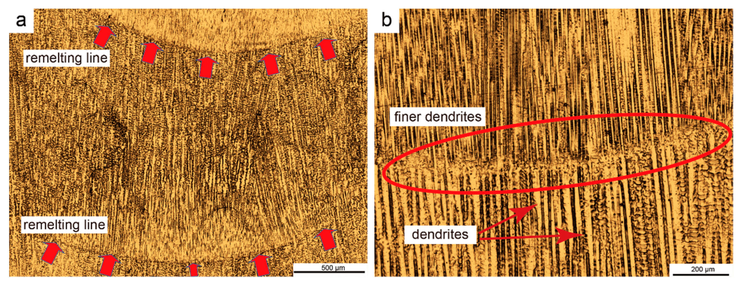 Metals 10 01419 g004