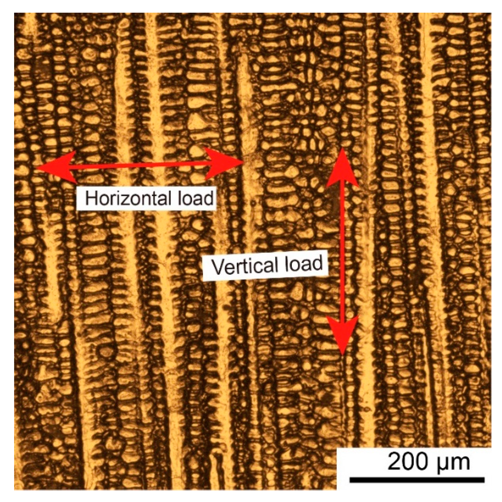 Metals 10 01419 g012