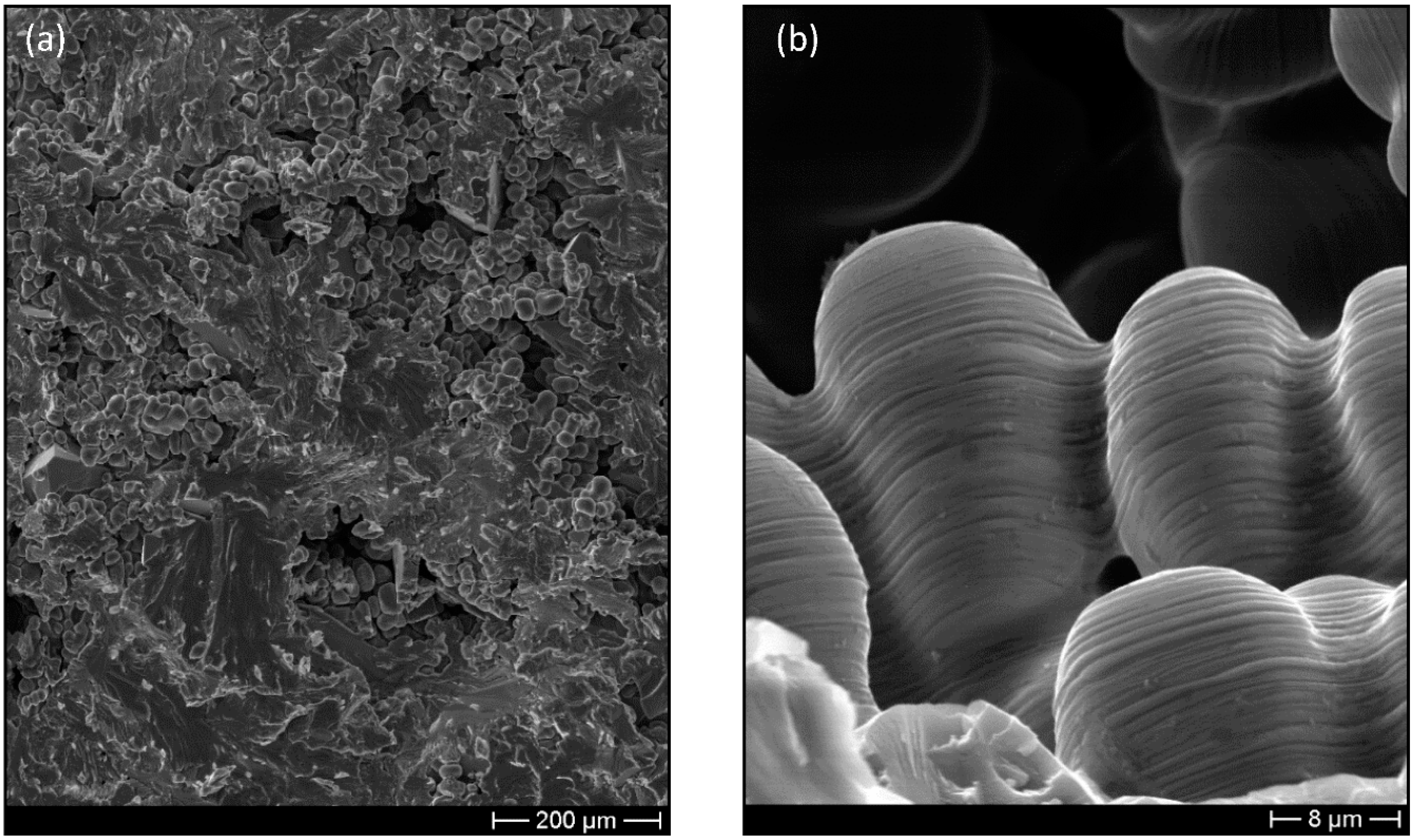 Metals 10 01457 g015 Metals 10 01457 g015