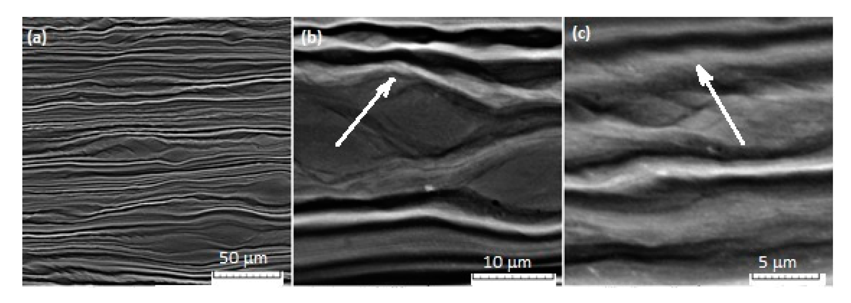 Metals 10 01491 g011