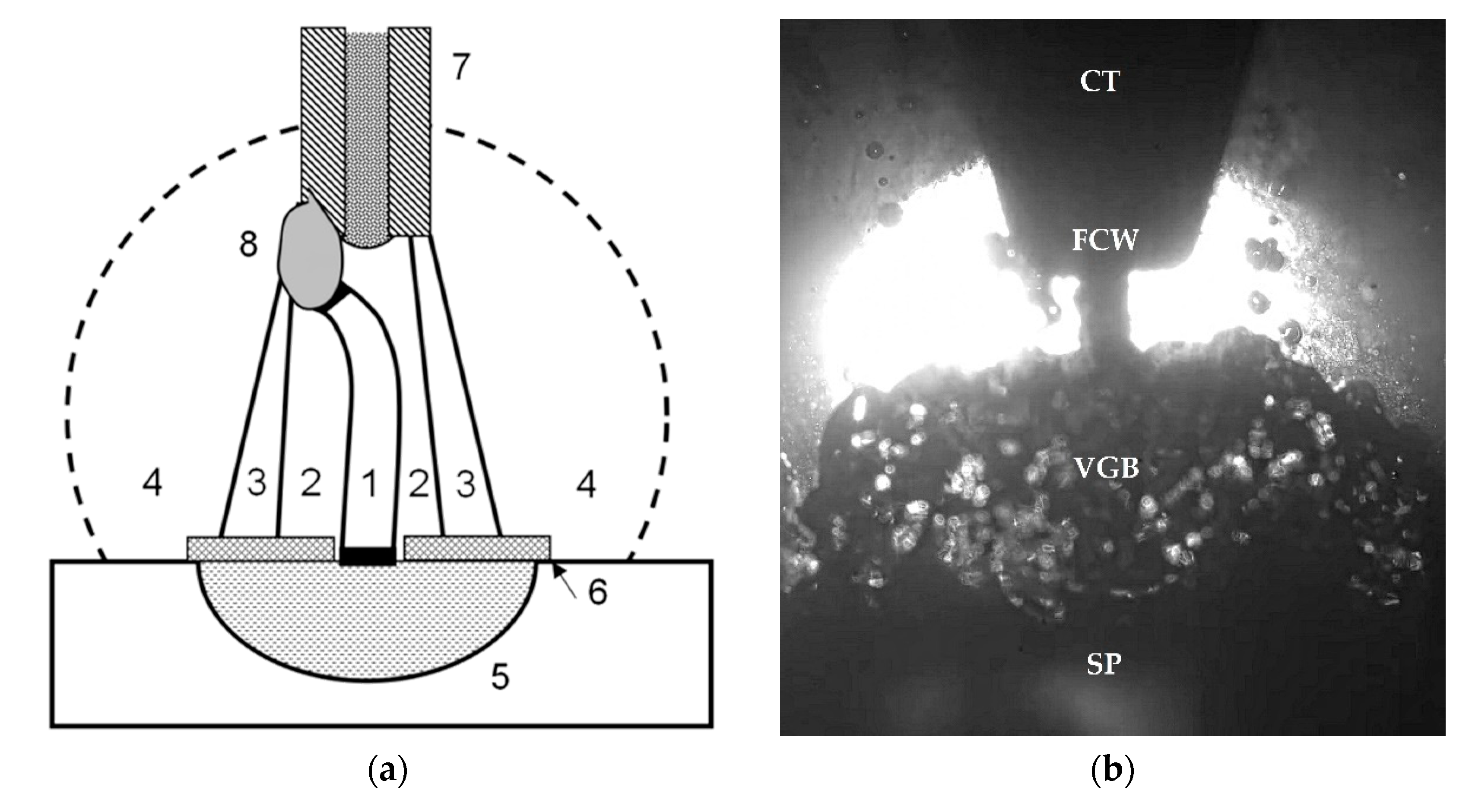 Metals 10 01498 g002