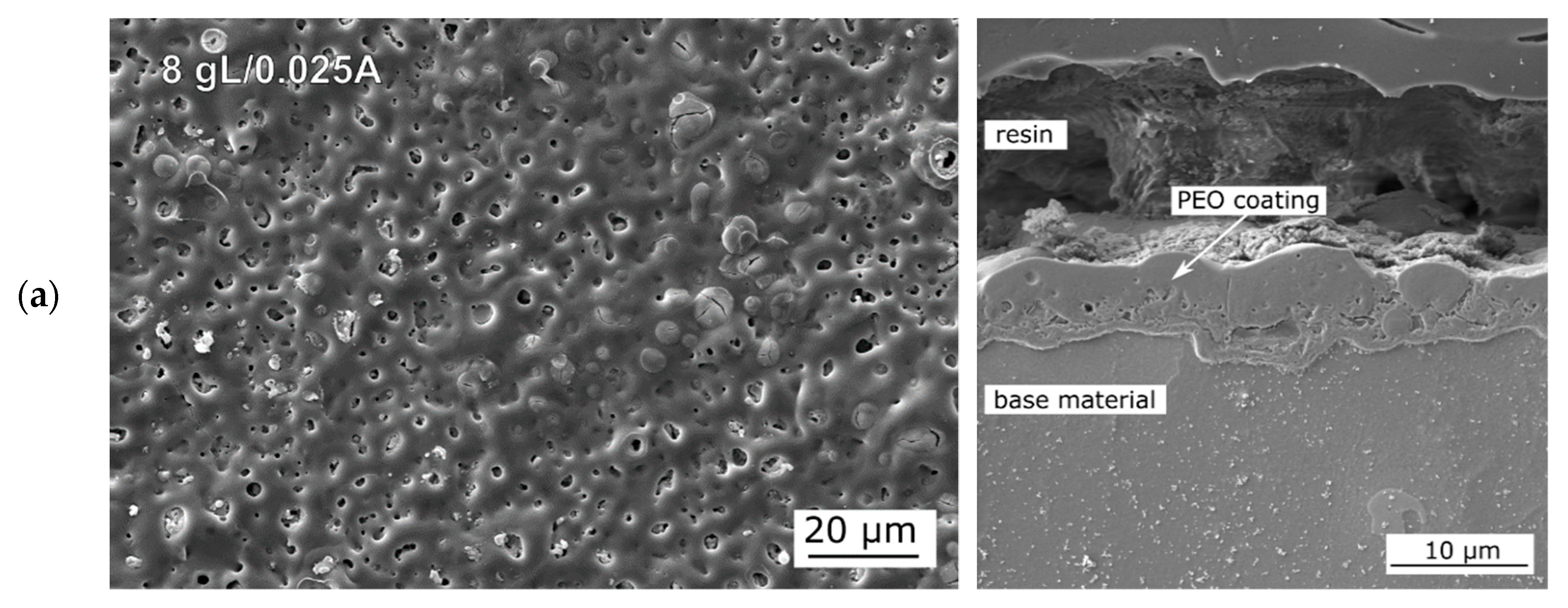 Metals 10 01521 g003a