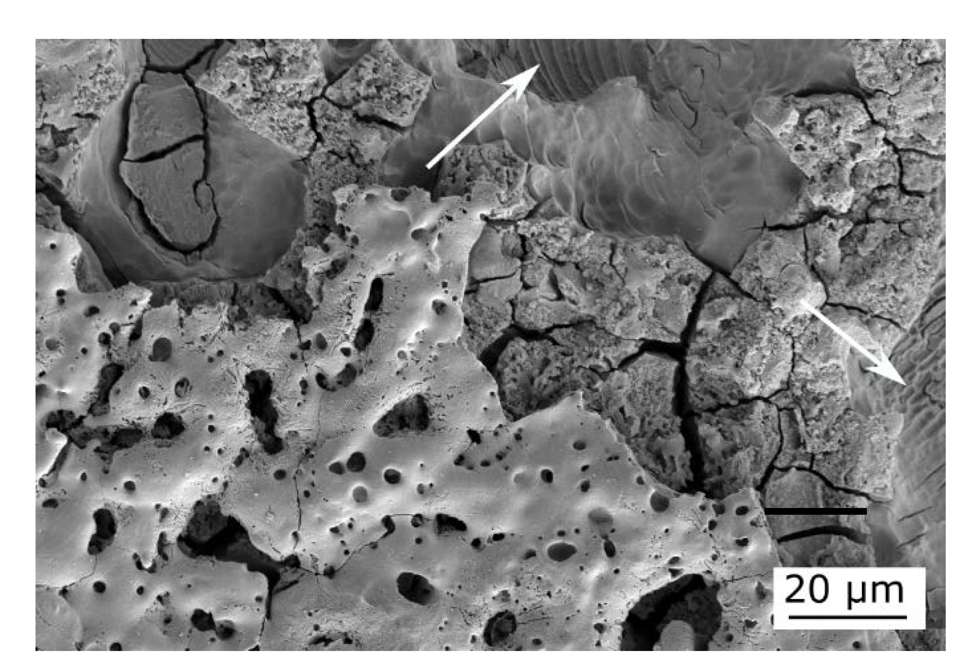 Metals 10 01521 g013