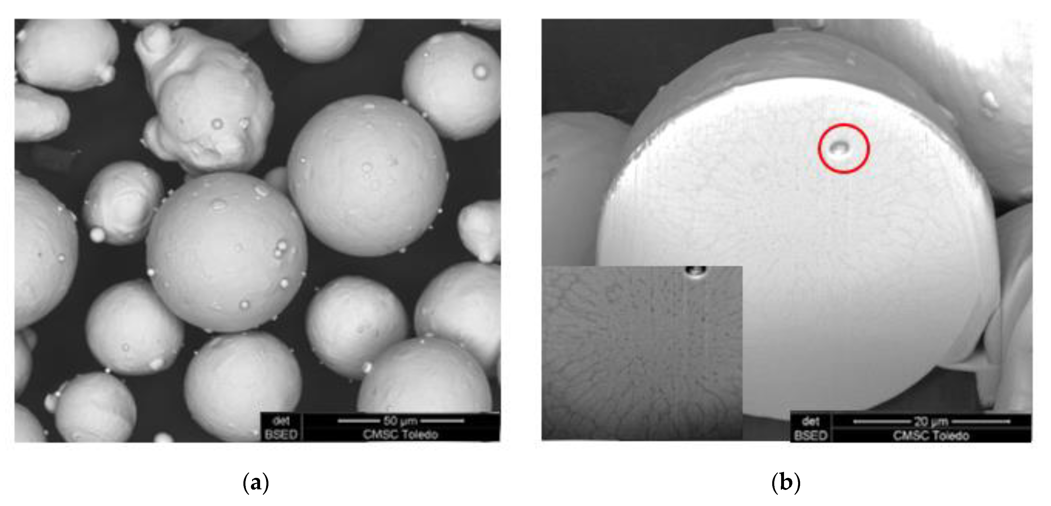 Metals 10 01522 g001