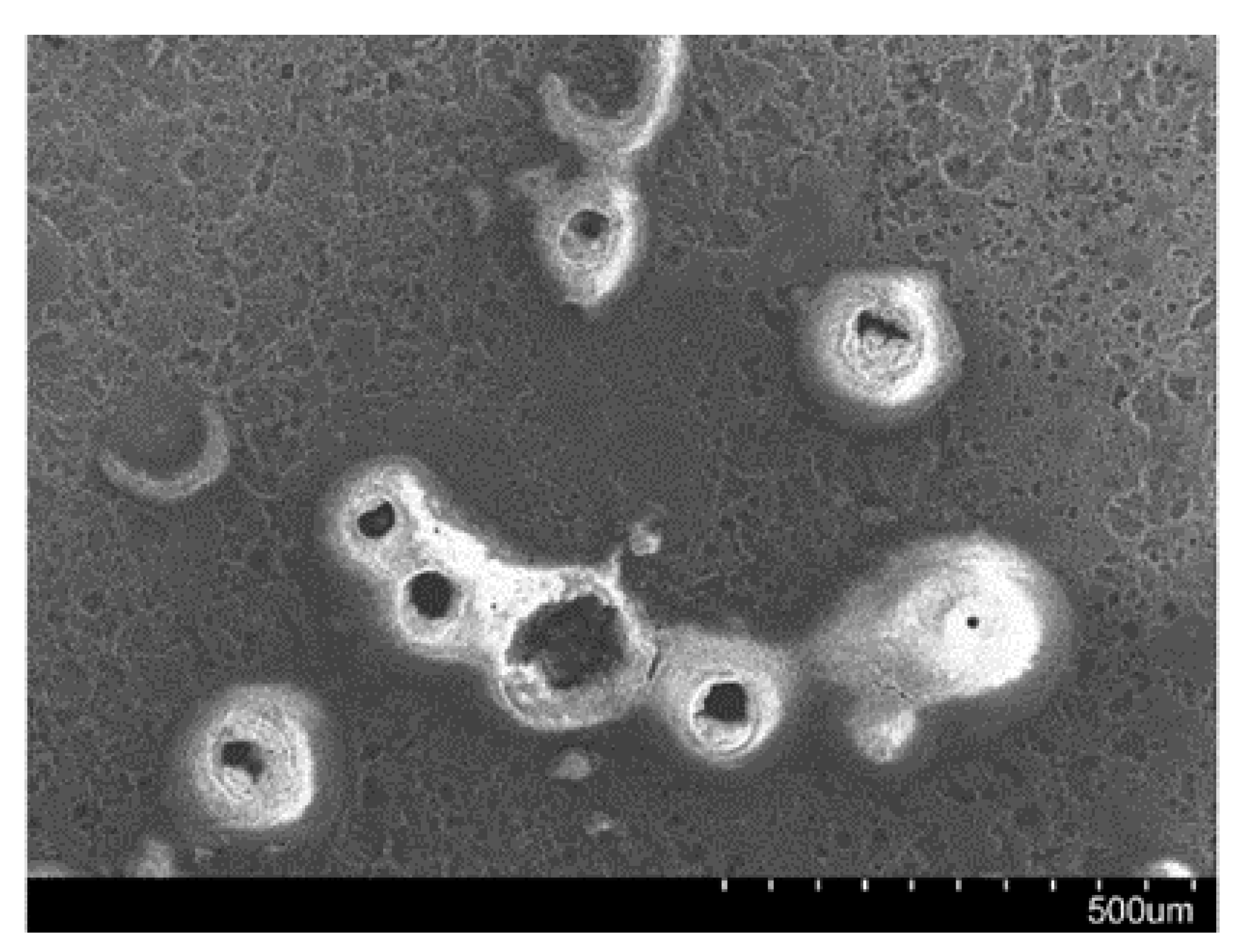 Metals 10 01552 g008 Metals 10 01552 g008