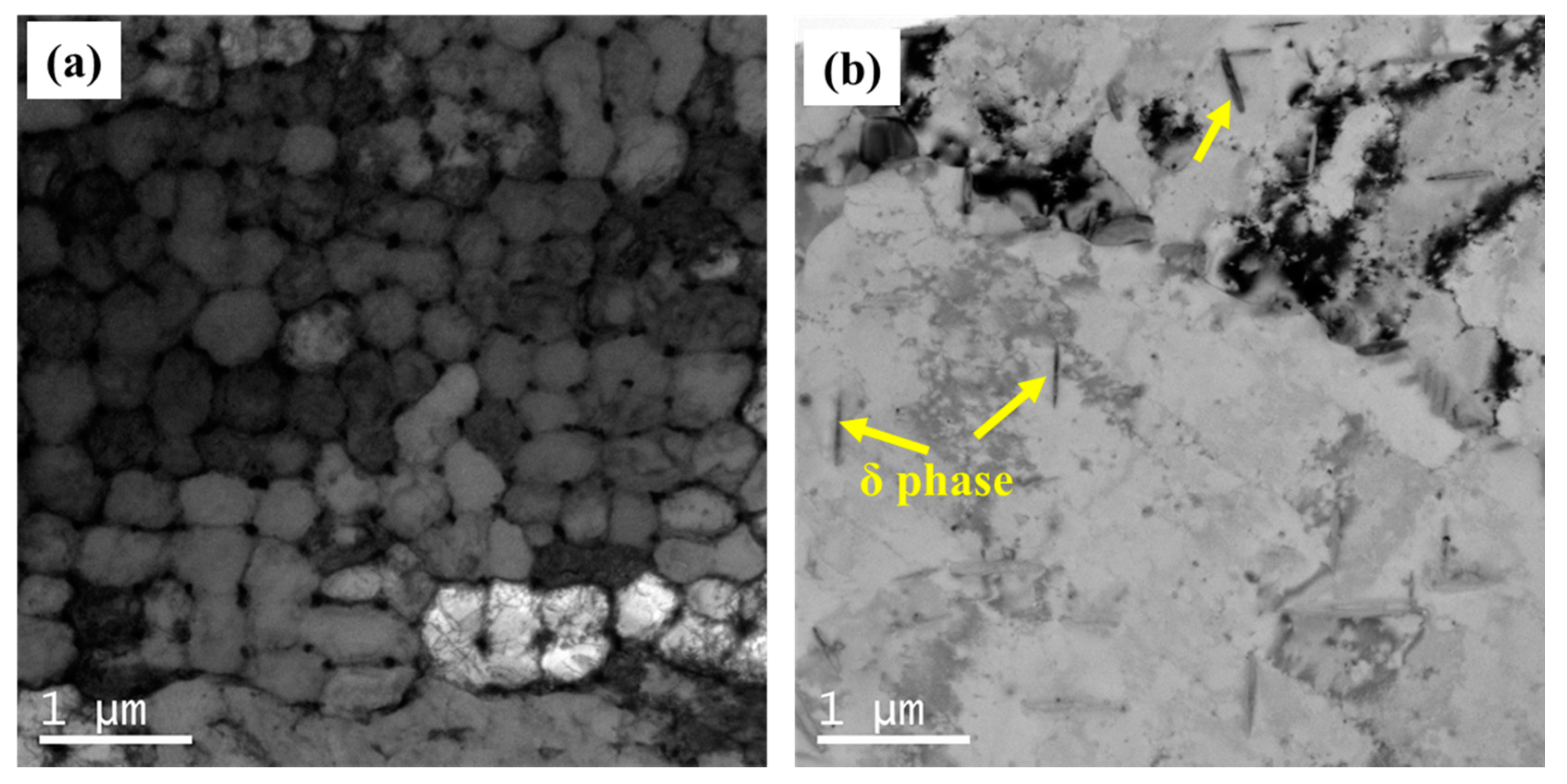 Metals 10 01562 g005