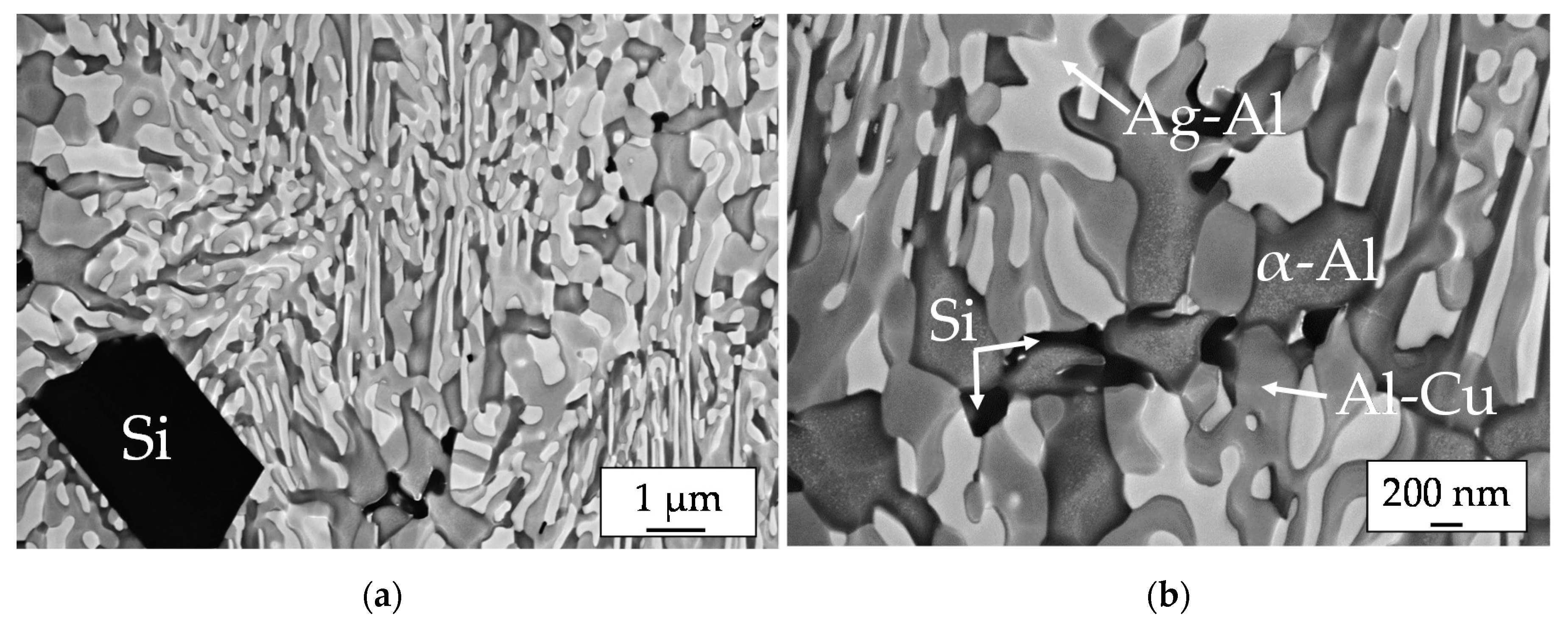 Metals 10 01563 g002