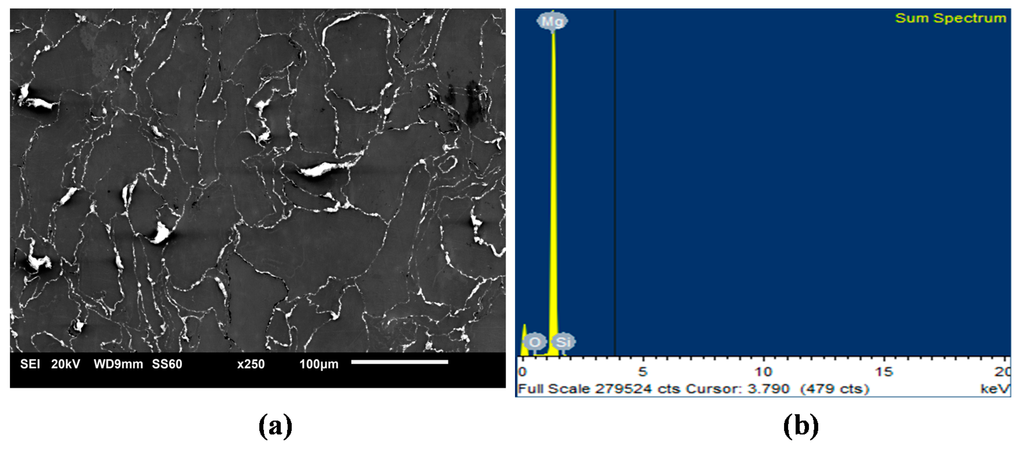 Metals 10 01583 g001