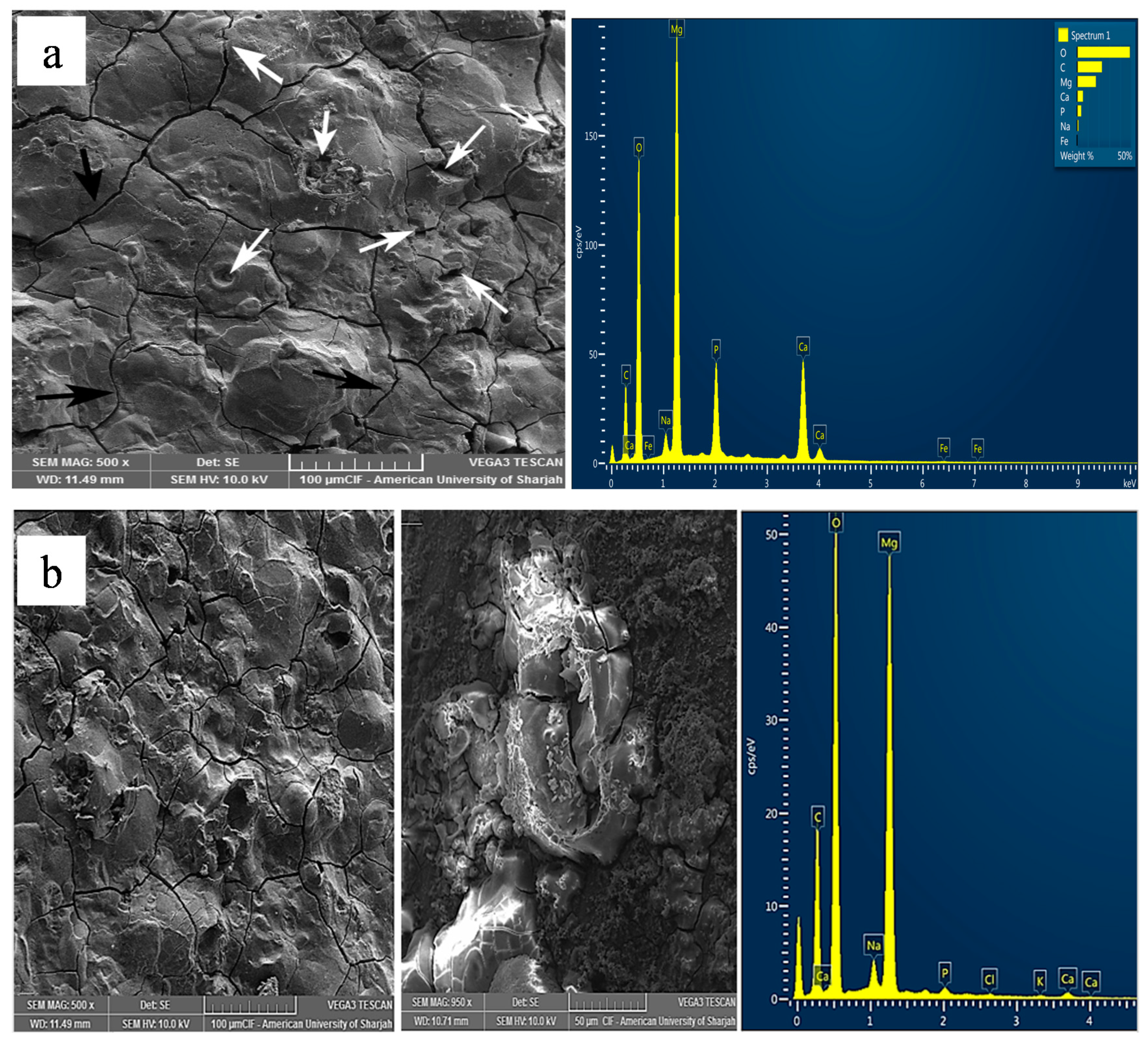 Metals 10 01583 g005