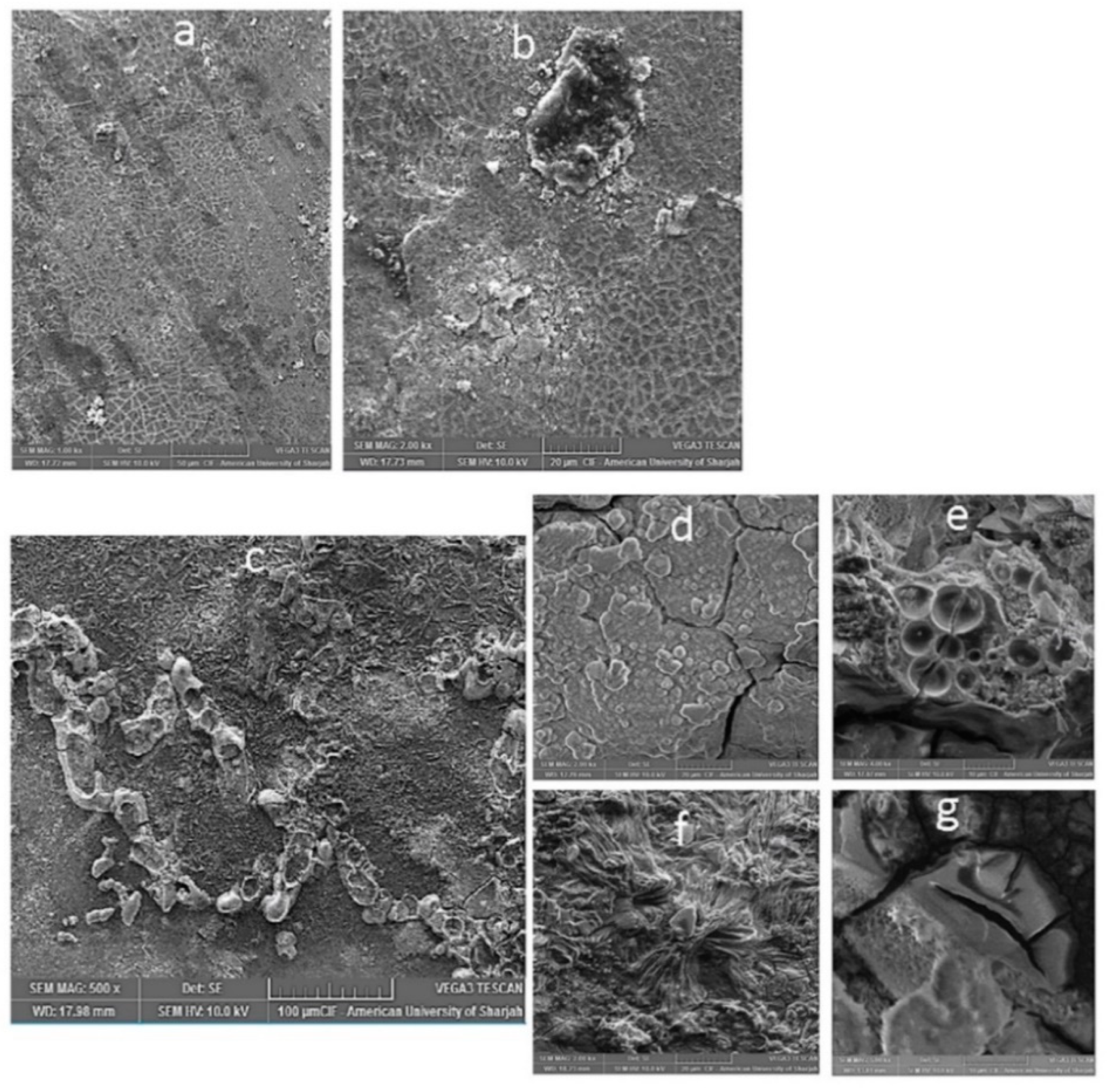 Metals 10 01583 g006