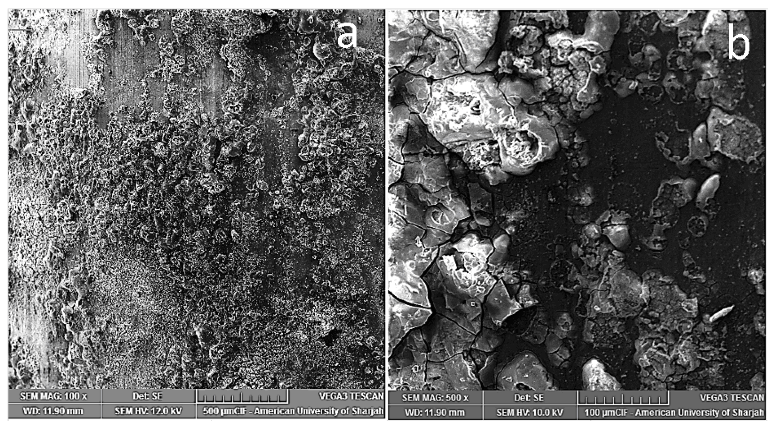 Metals 10 01583 g007