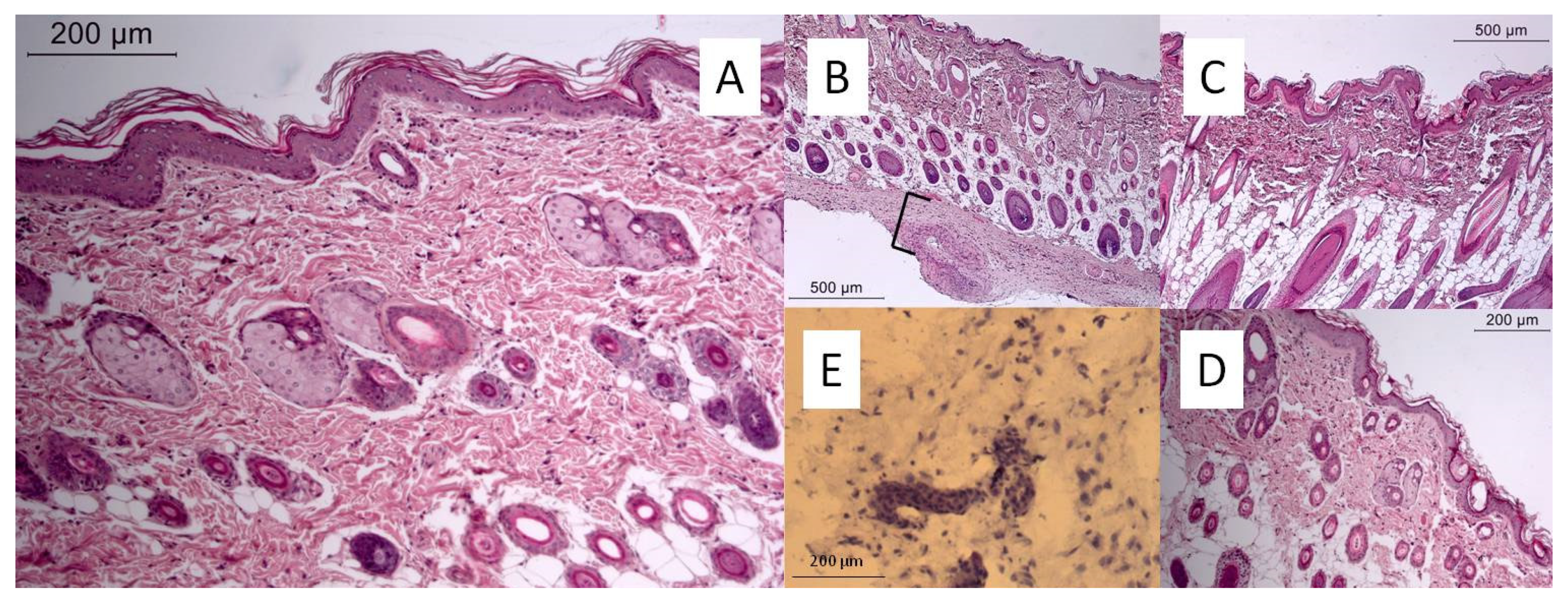 Metals 10 01584 g006 Metals 10 01584 g006