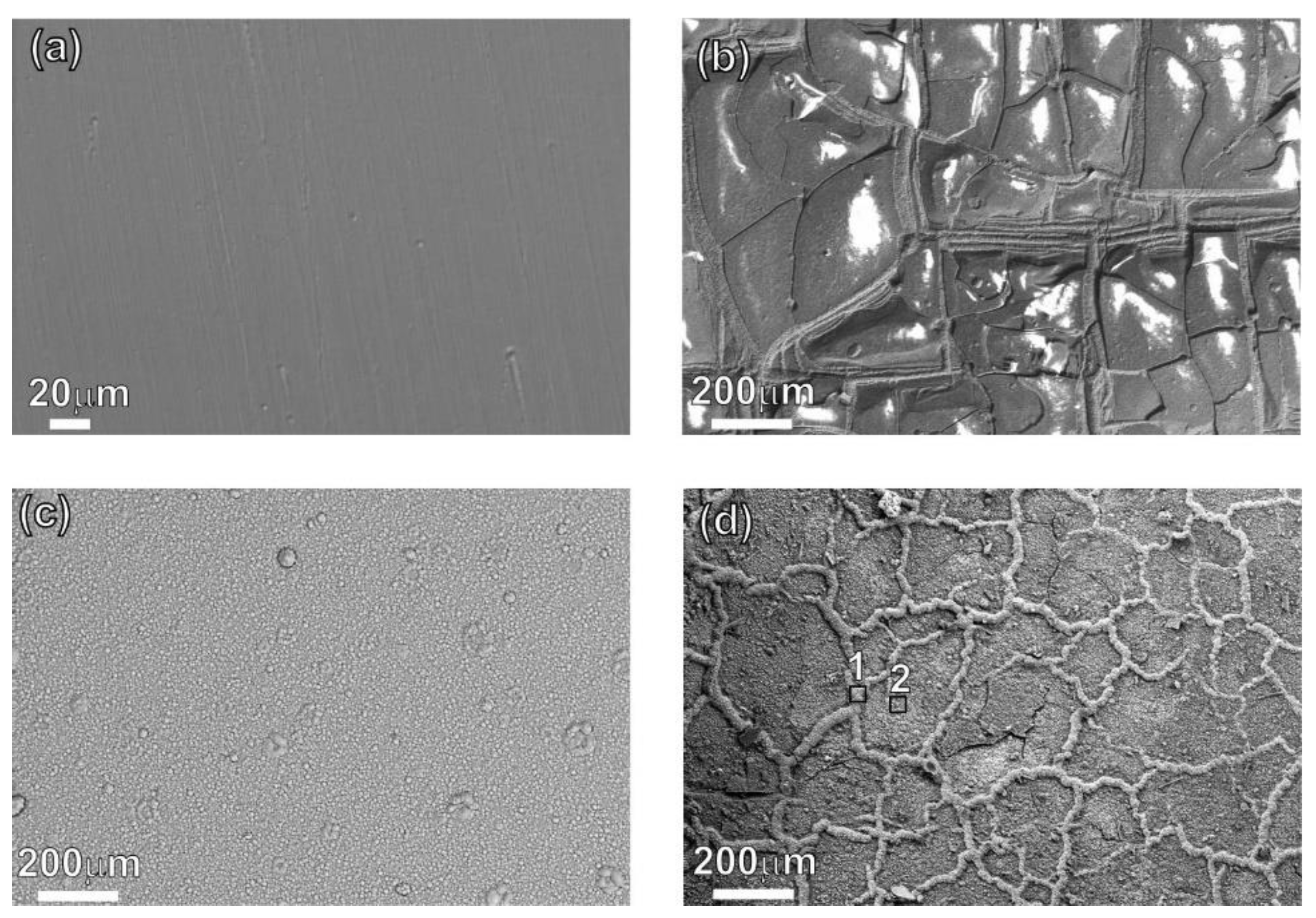 Metals 10 01591 g004