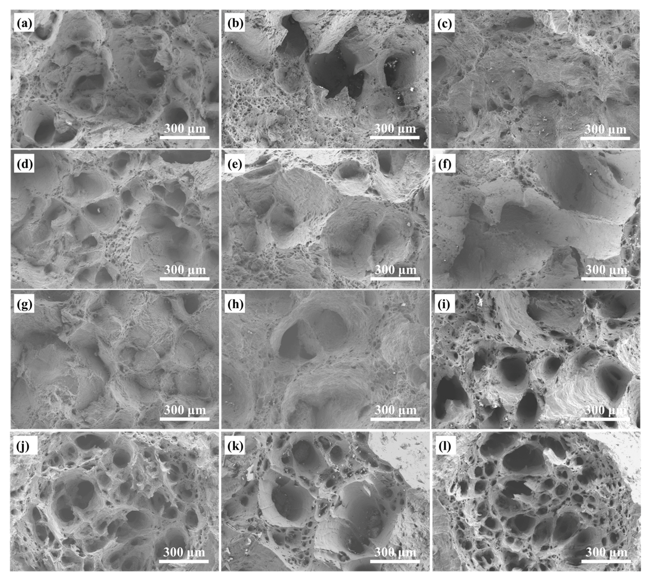 Metals 10 01598 g002