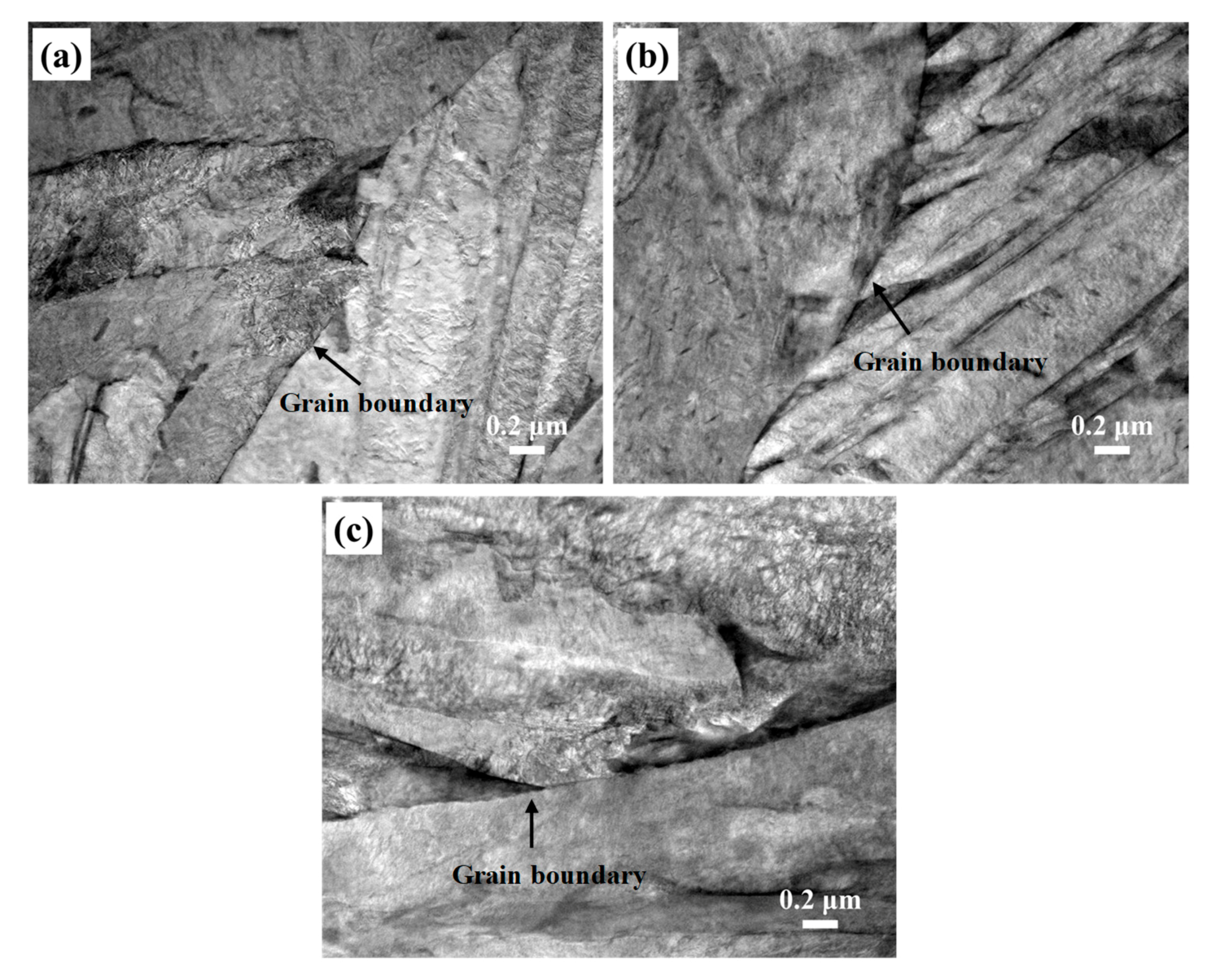 Metals 10 01598 g009