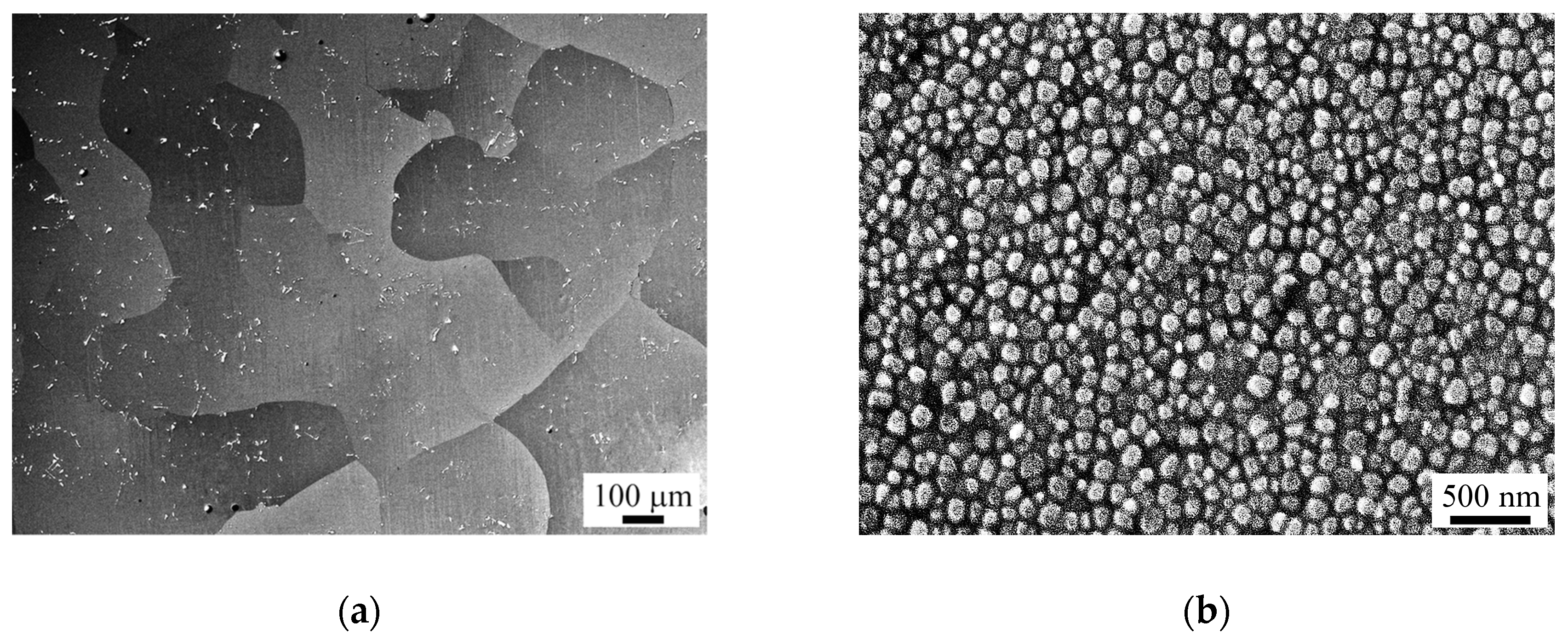 Metals 10 01606 g001 Metals 10 01606 g001