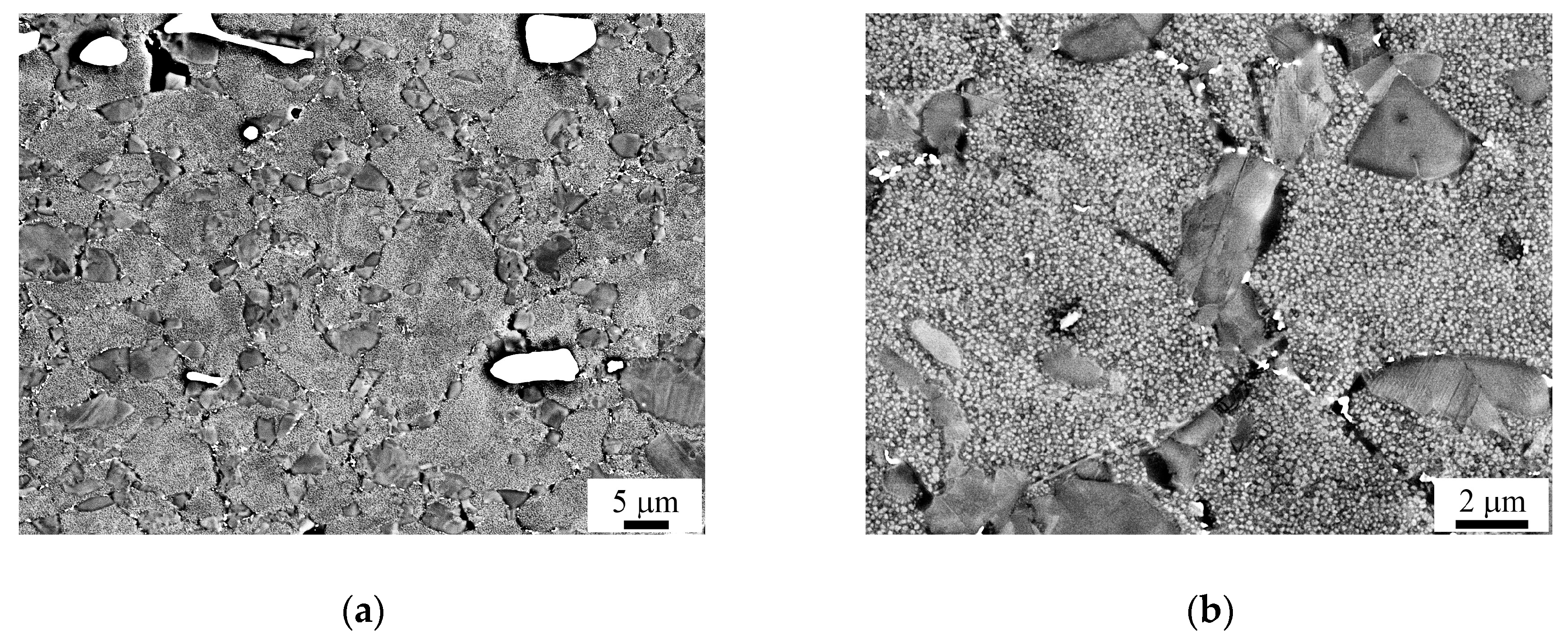 Metals 10 01606 g008a Metals 10 01606 g008a