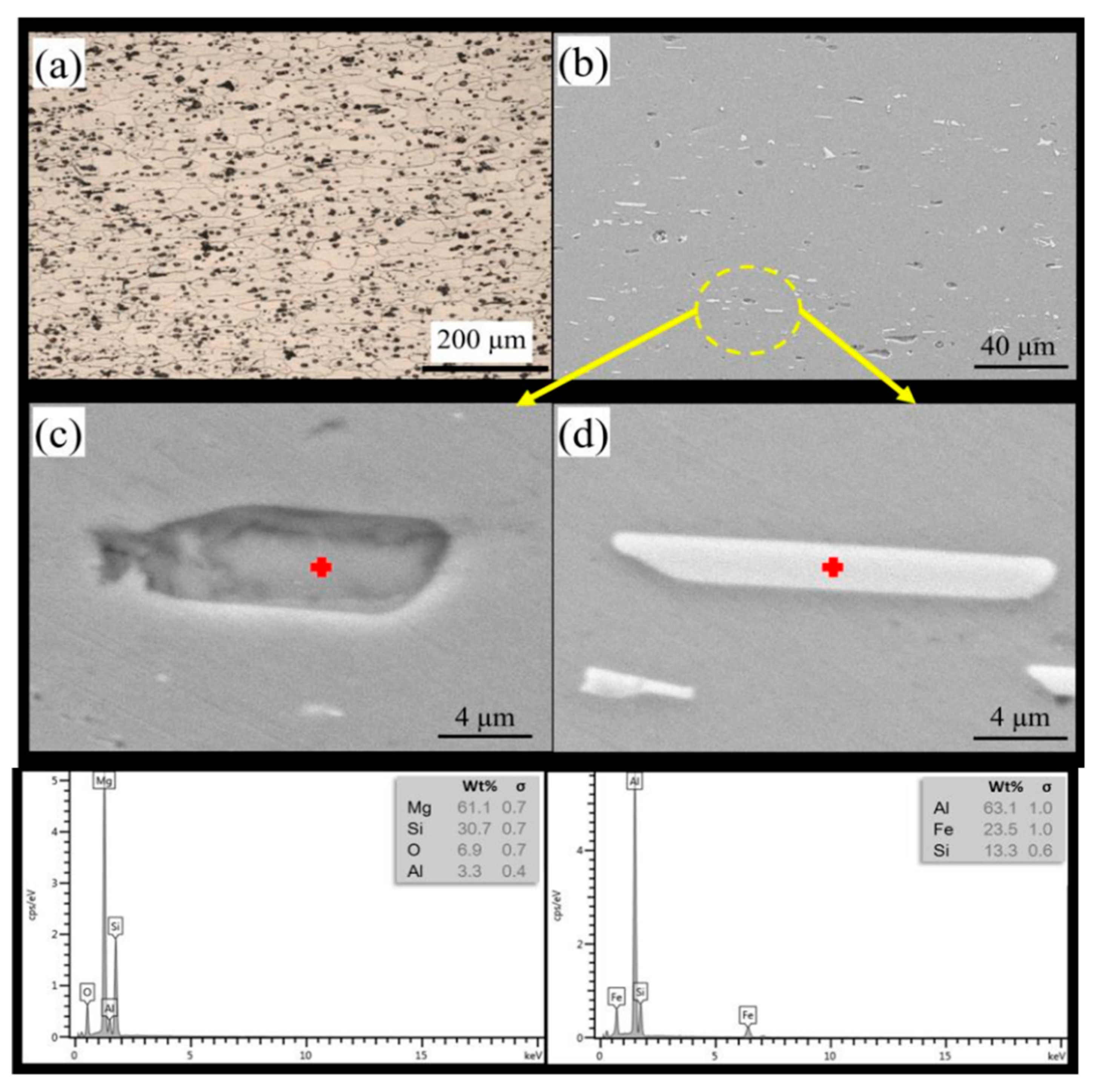 Metals 10 01607 g003