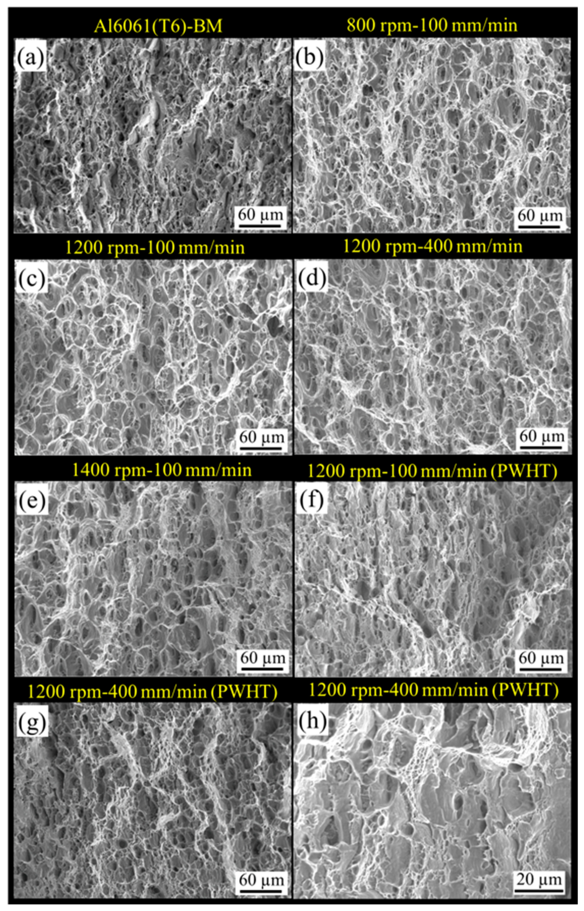 Metals 10 01607 g012