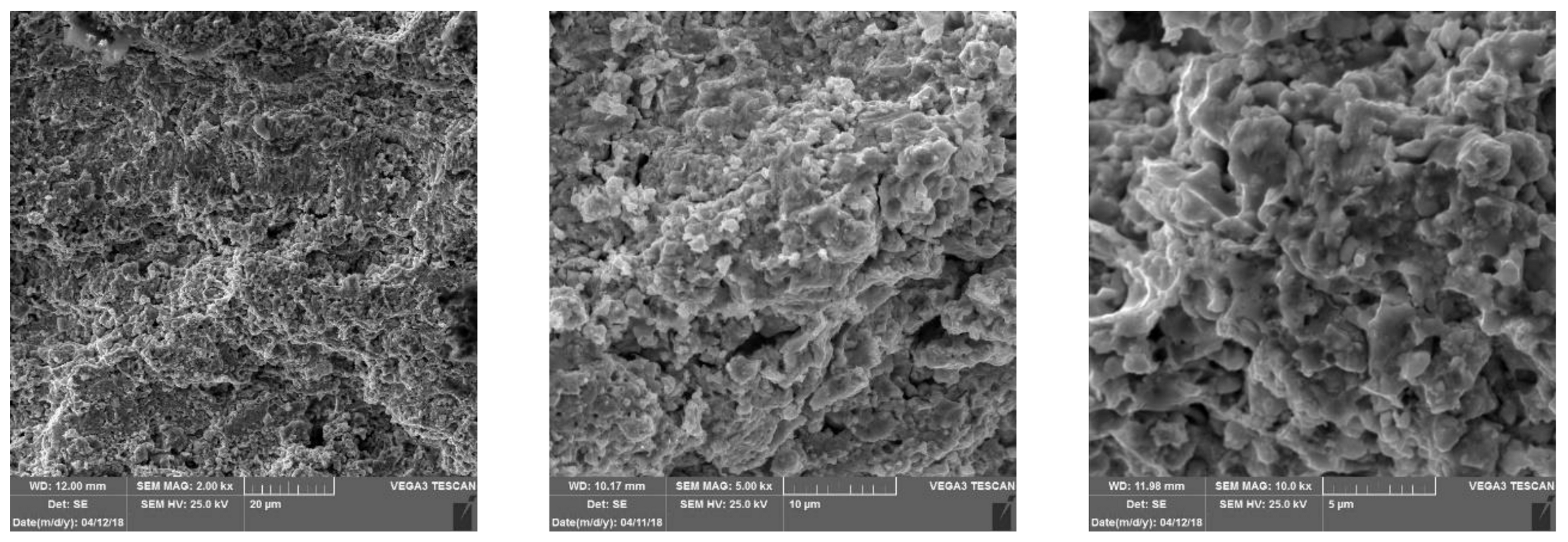 Metals 10 01675 g010