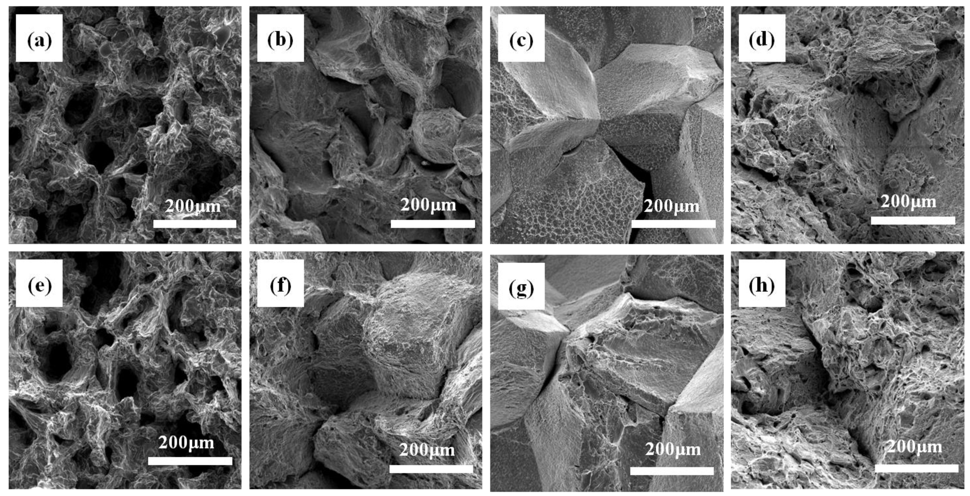 Metals 10 01679 g010