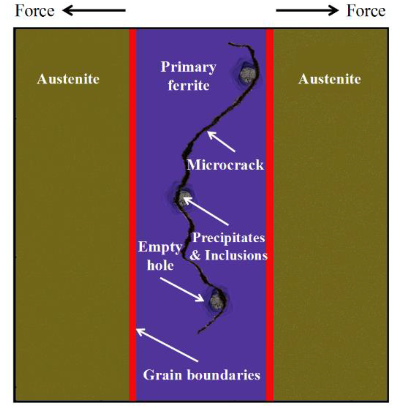 Metals 10 01679 g012