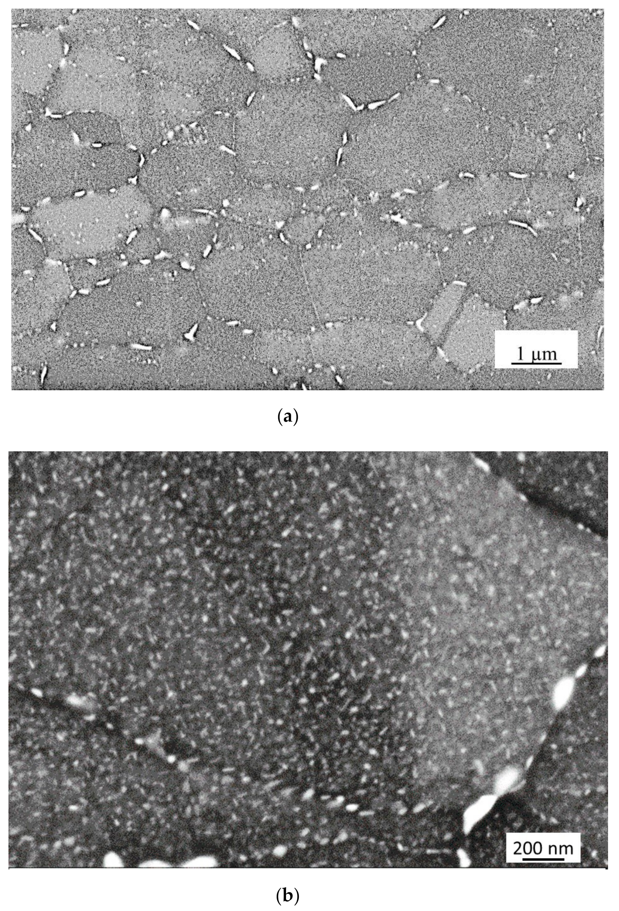 Metals 10 01682 g001