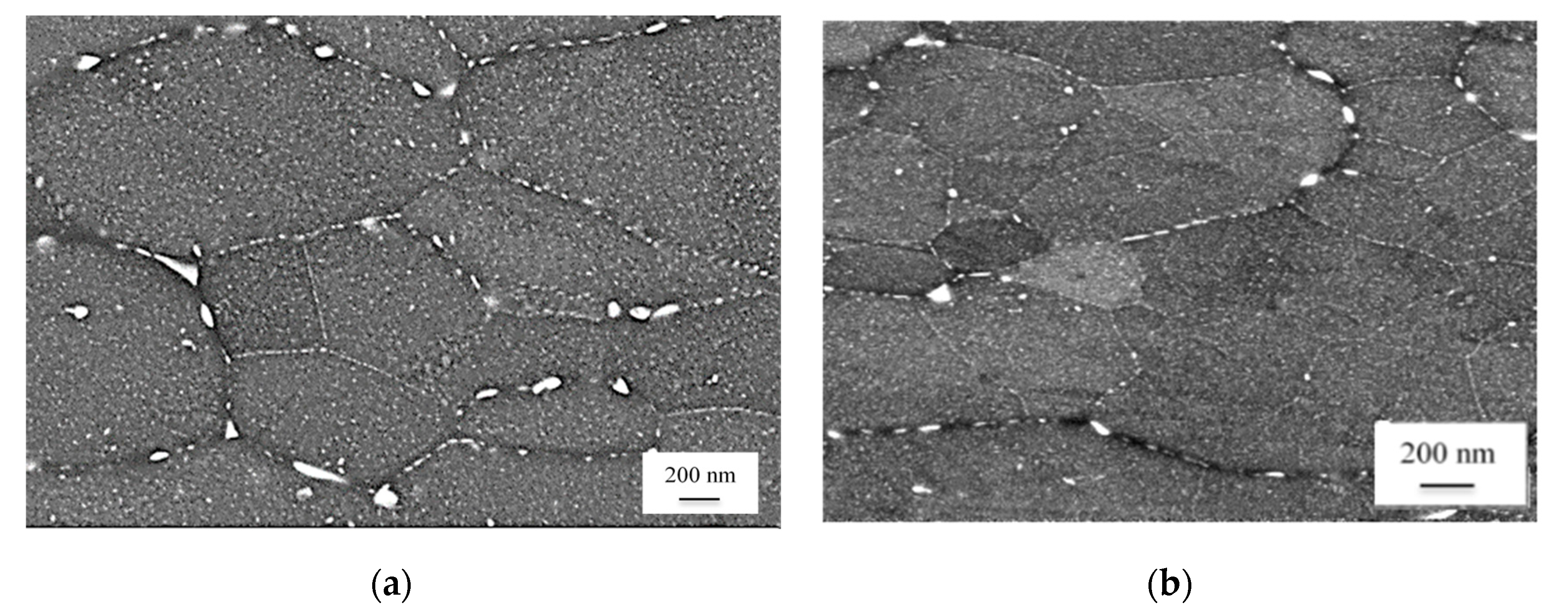 Metals 10 01693 g003a Metals 10 01693 g003a