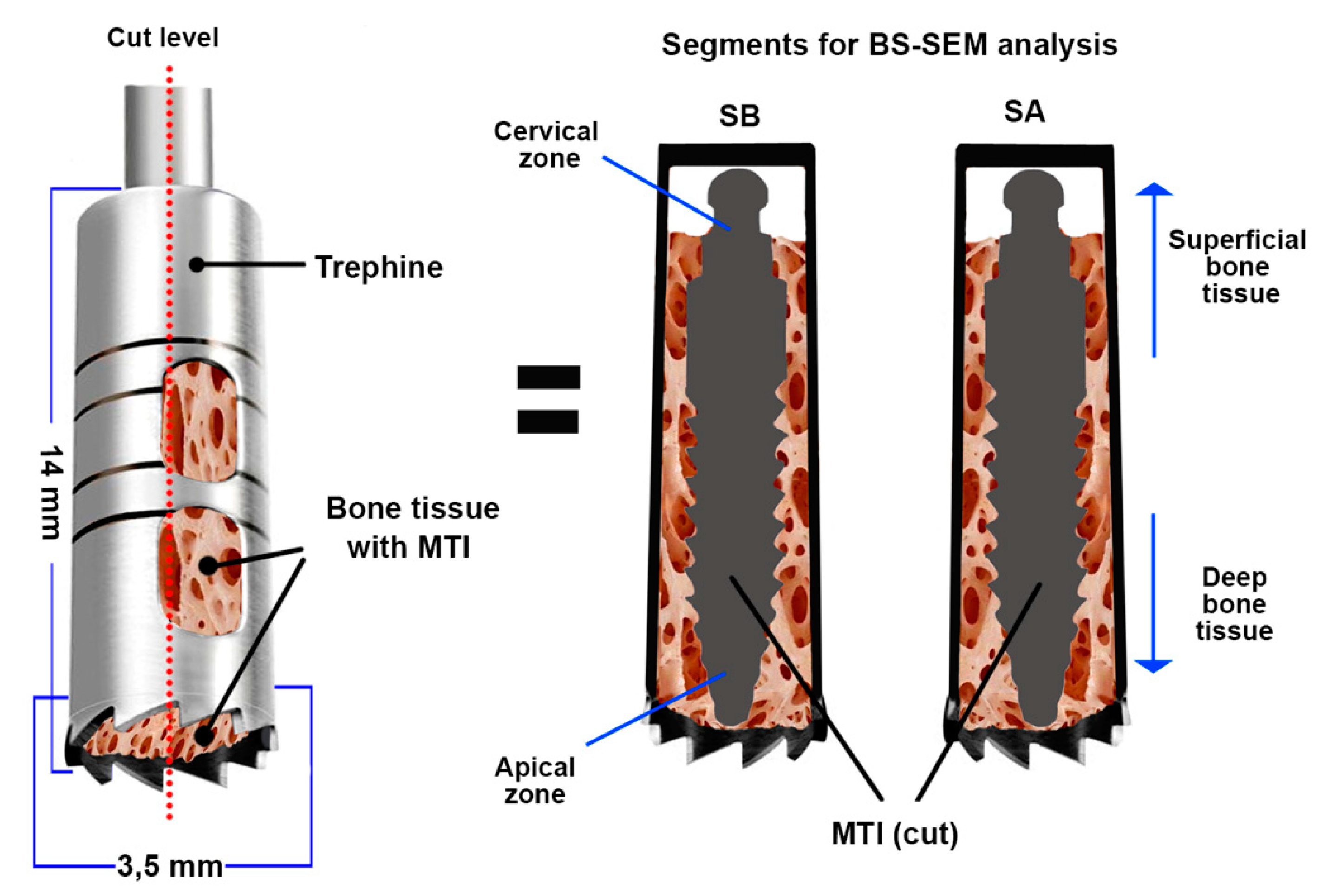 Metals 11 00002 g001 Metals 11 00002 g001