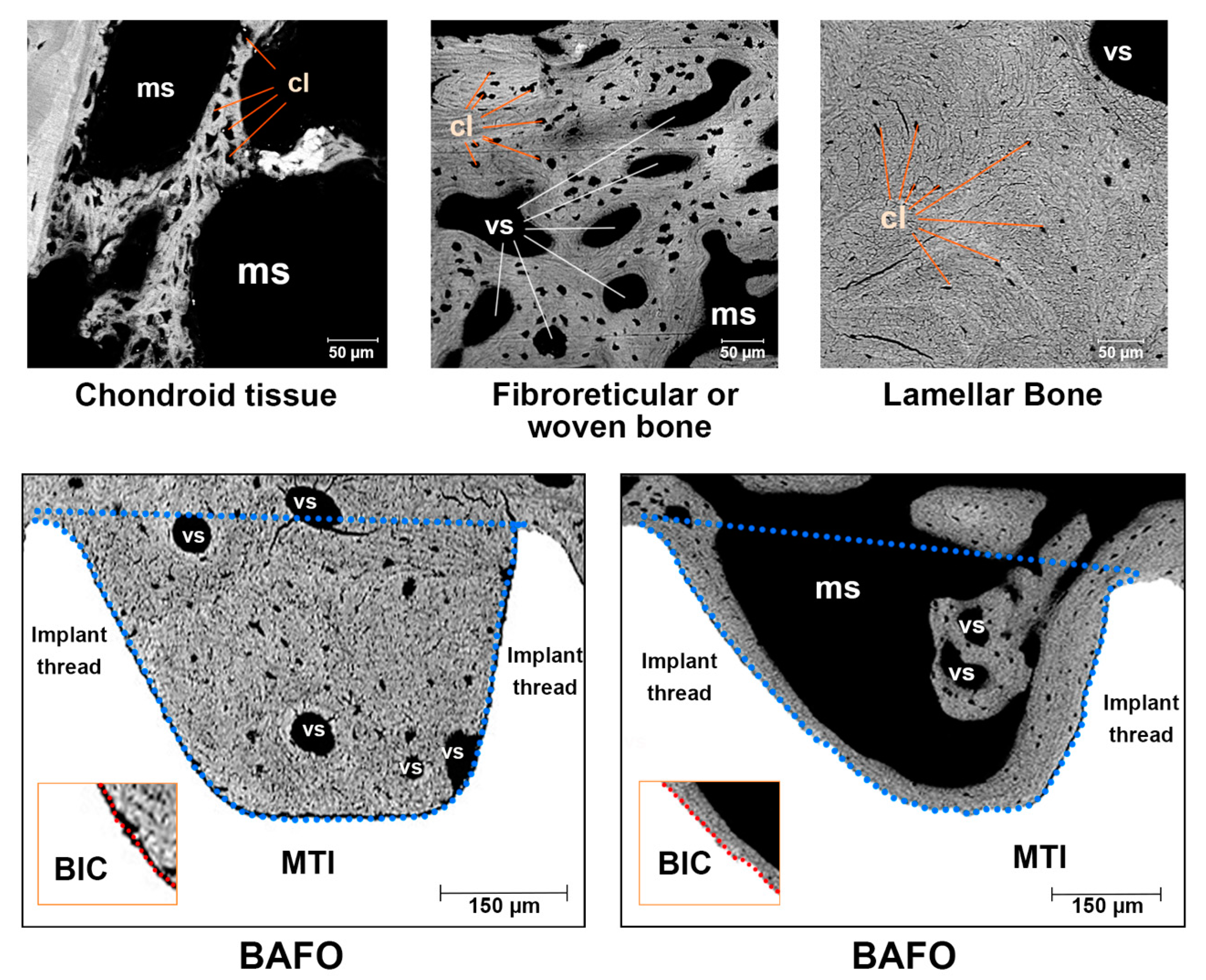 Metals 11 00002 g002 Metals 11 00002 g002