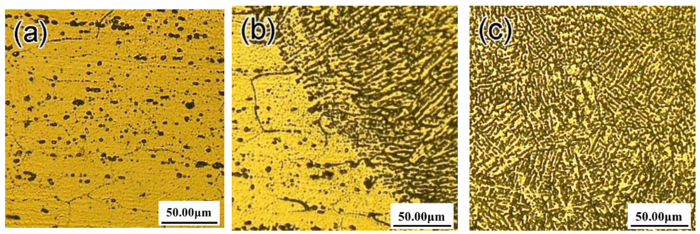 Metals 11 00003 g002