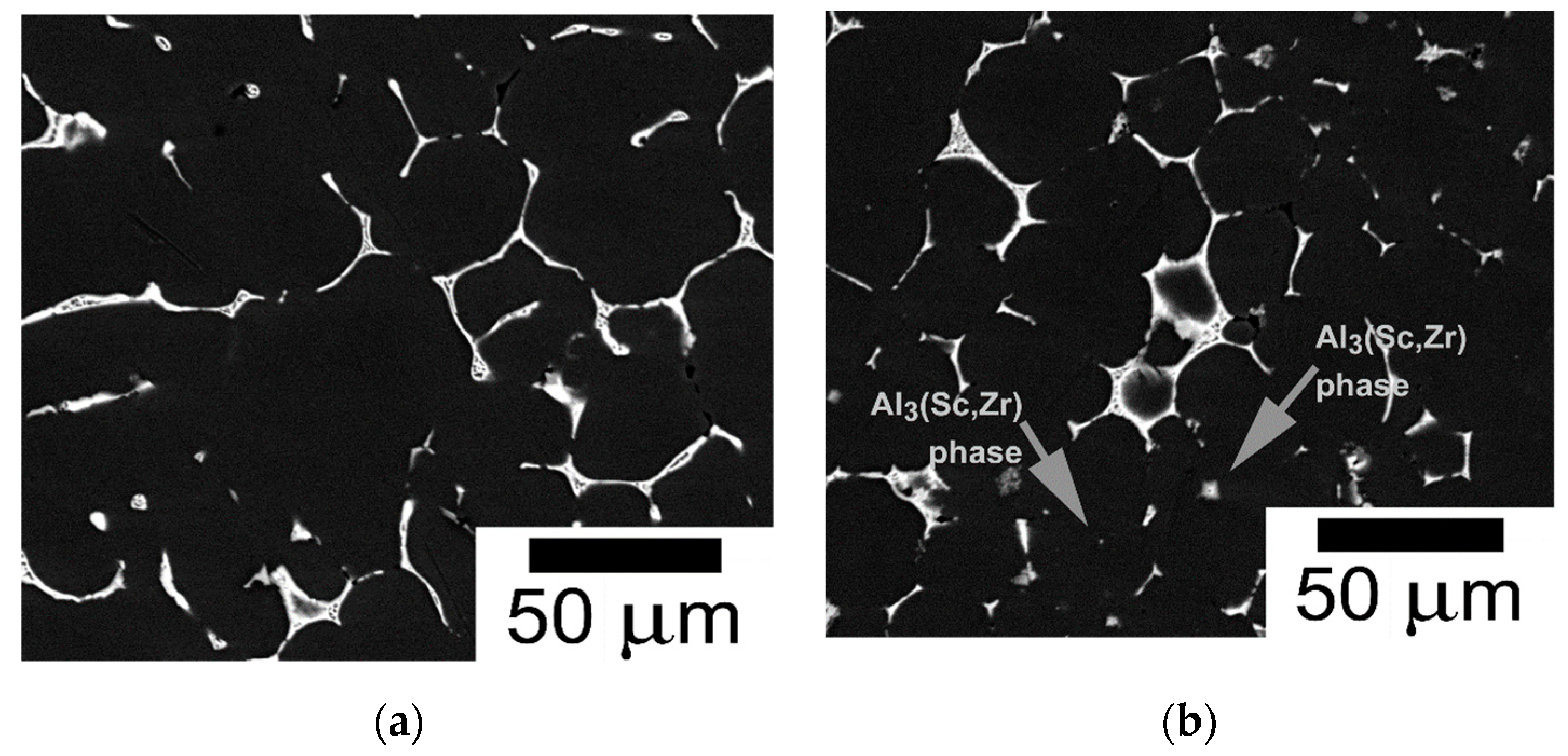 Metals 11 00008 g001