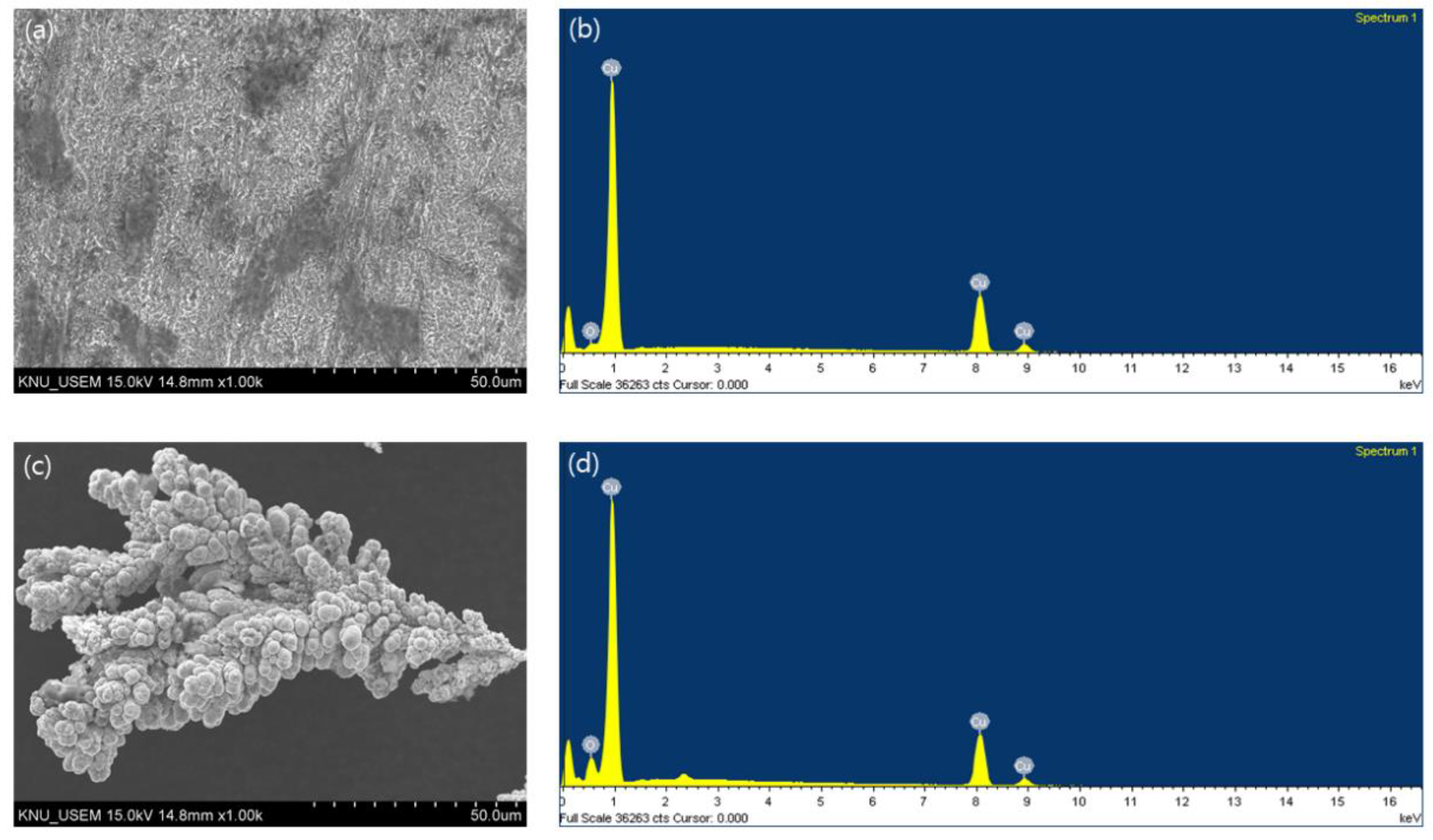 Metals 11 00022 g005